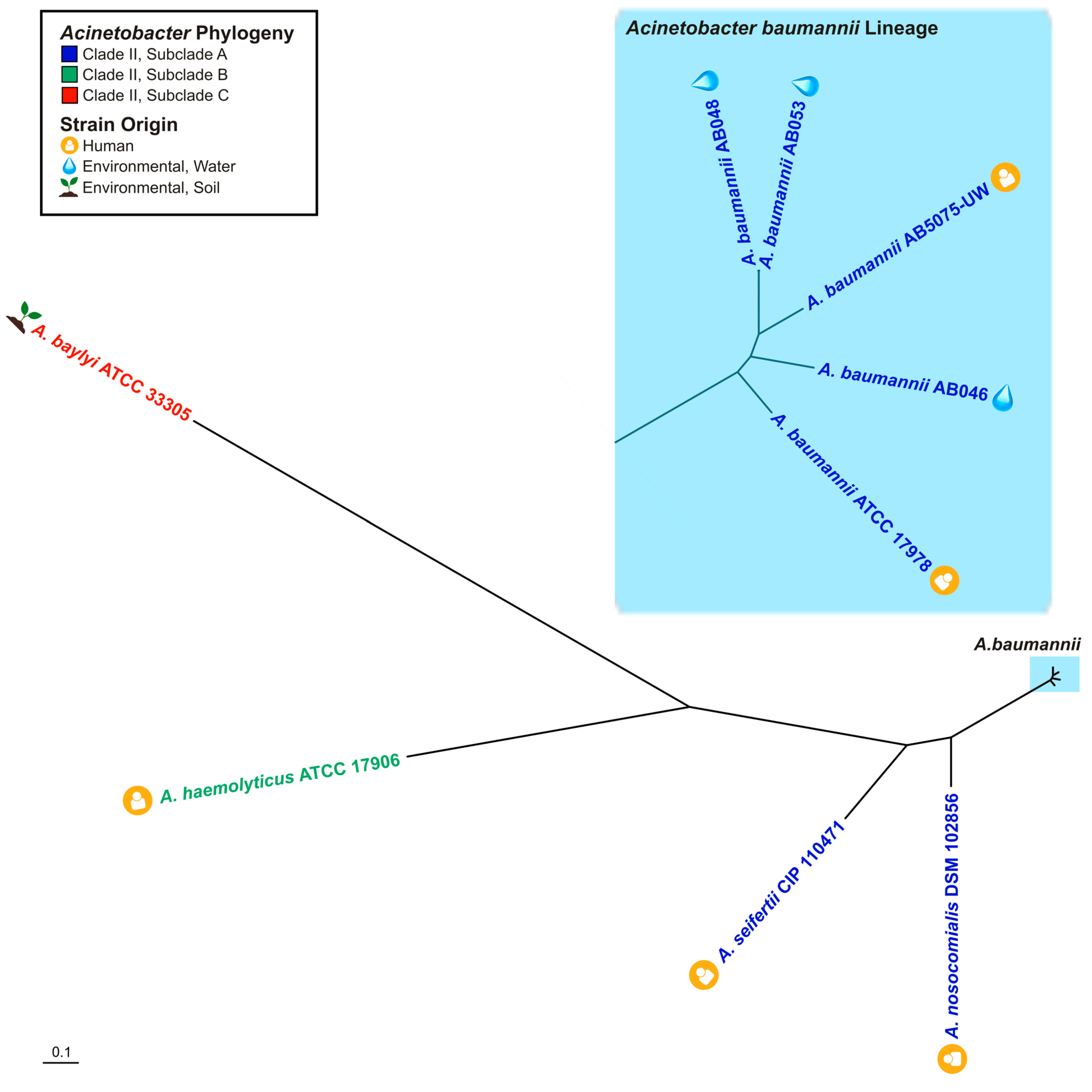 Pathogens 14 00606 g005