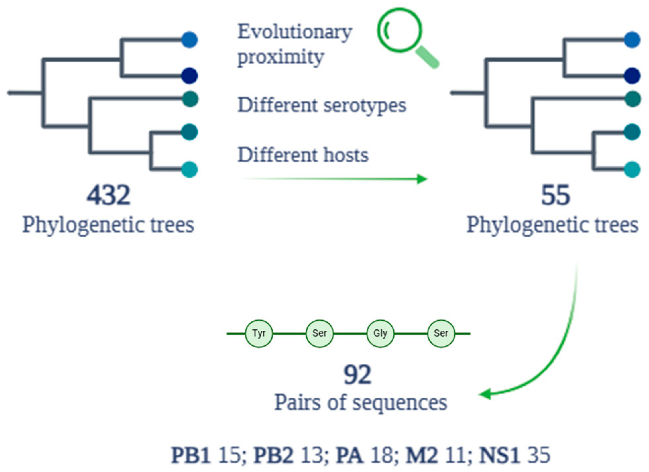 Pathogens 14 00608 g006