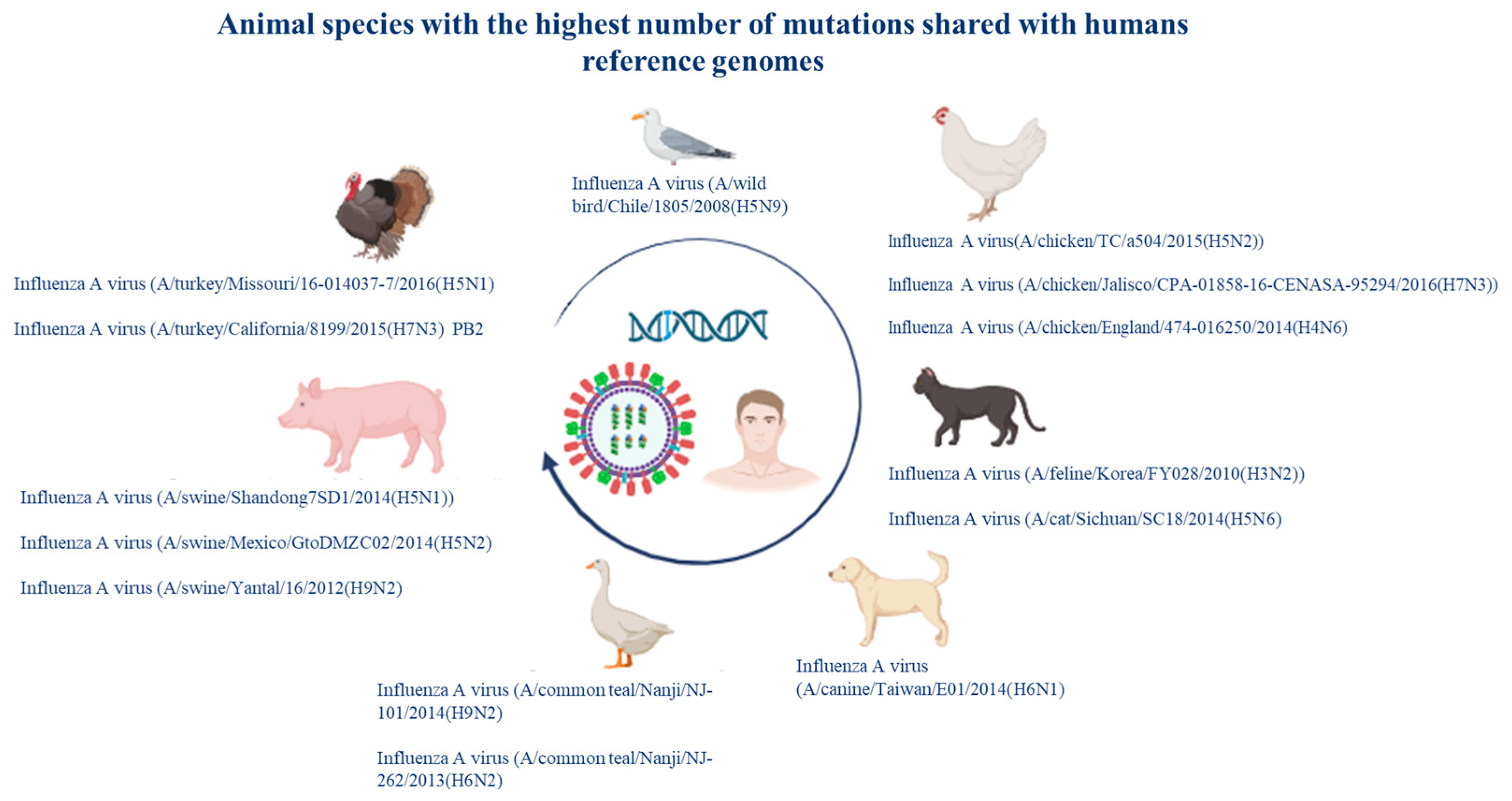 Pathogens 14 00608 g009