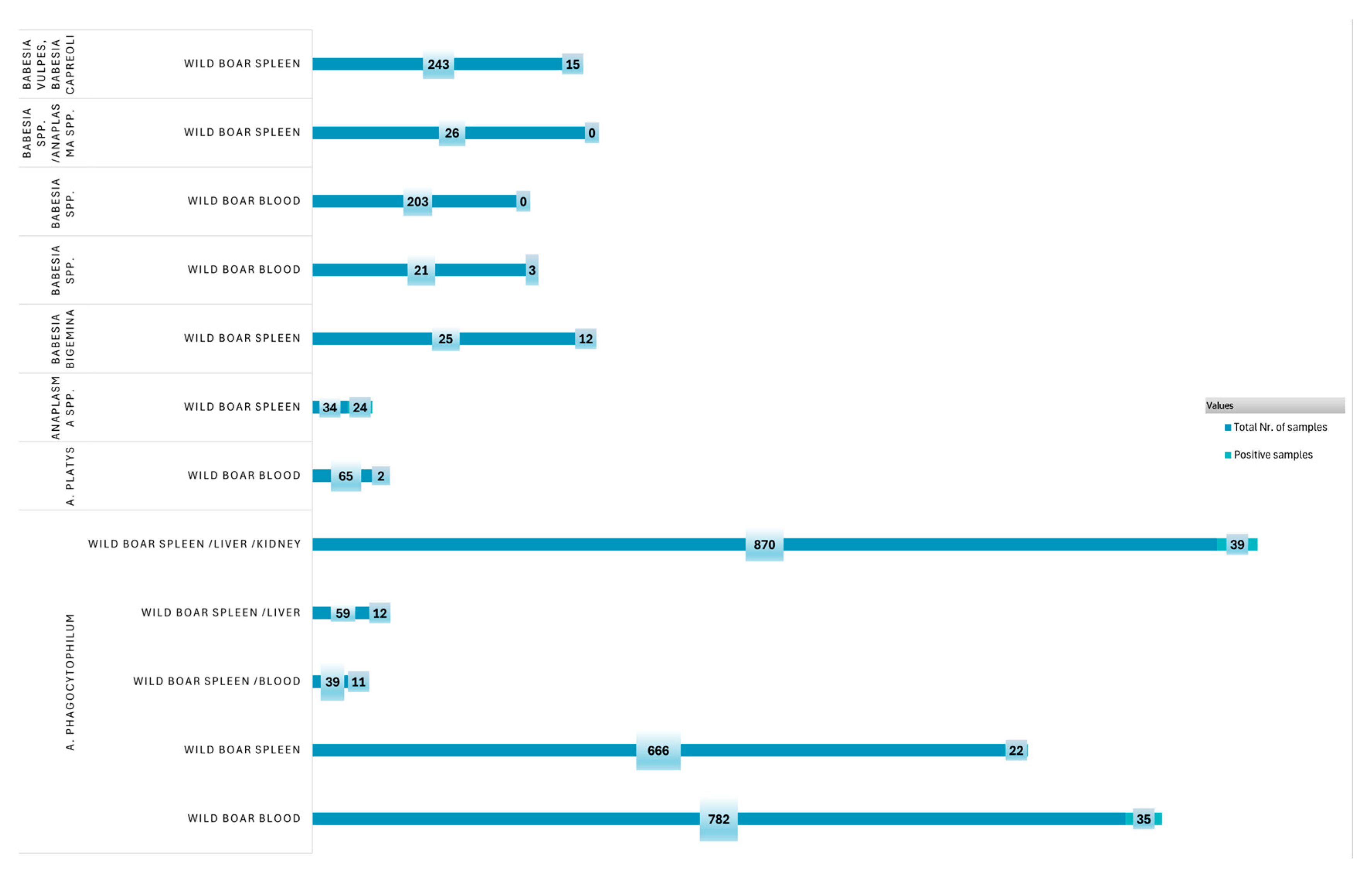 Pathogens 14 00612 g006