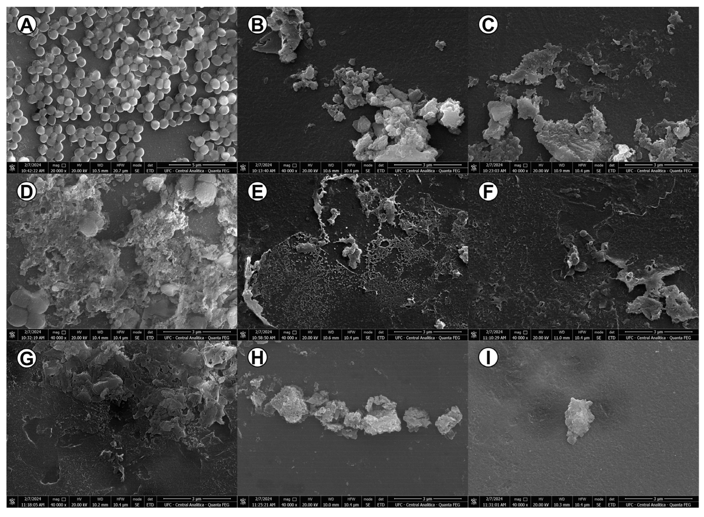 Pathogens 14 00613 g003