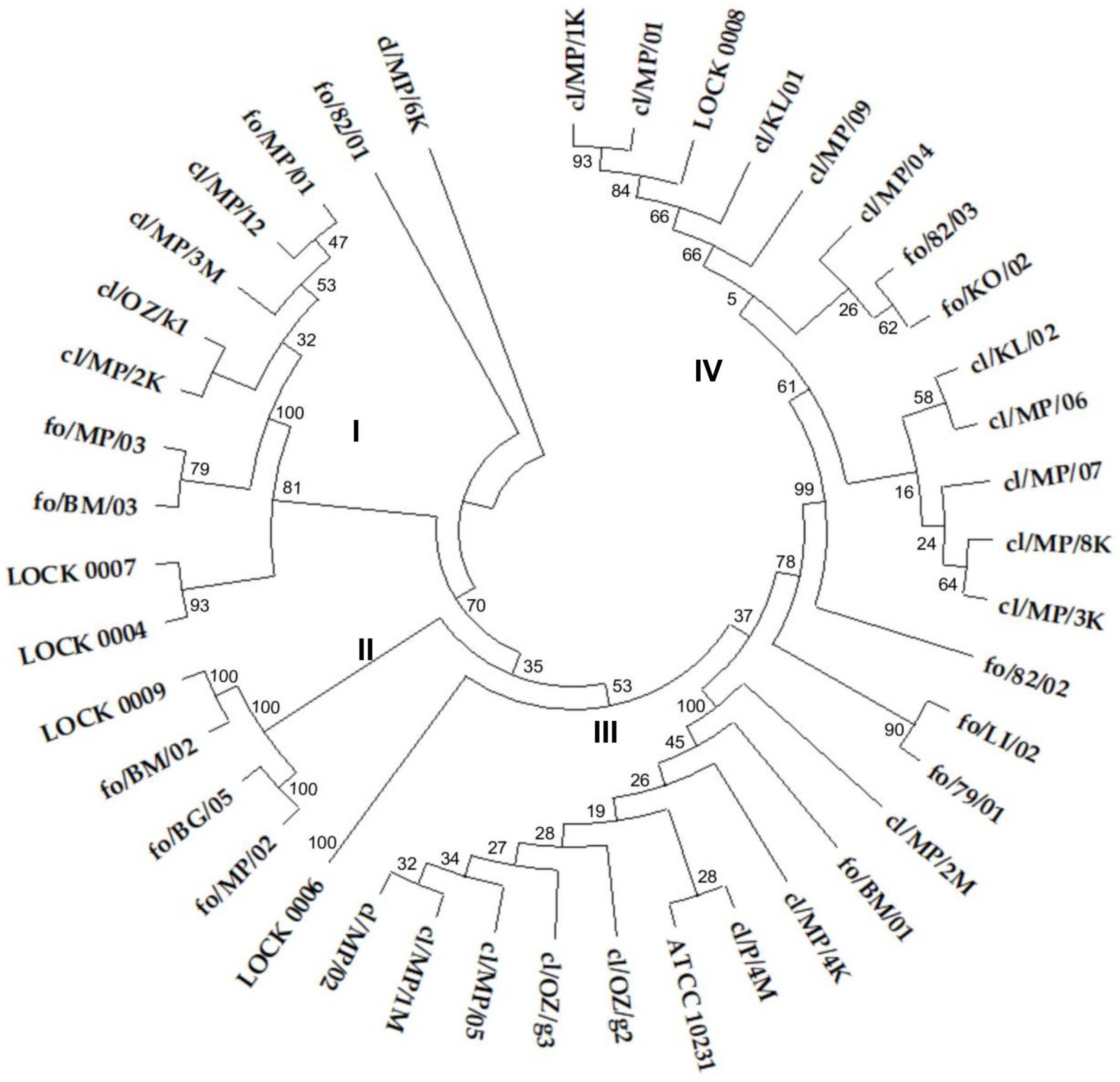 Pathogens 14 00614 g001