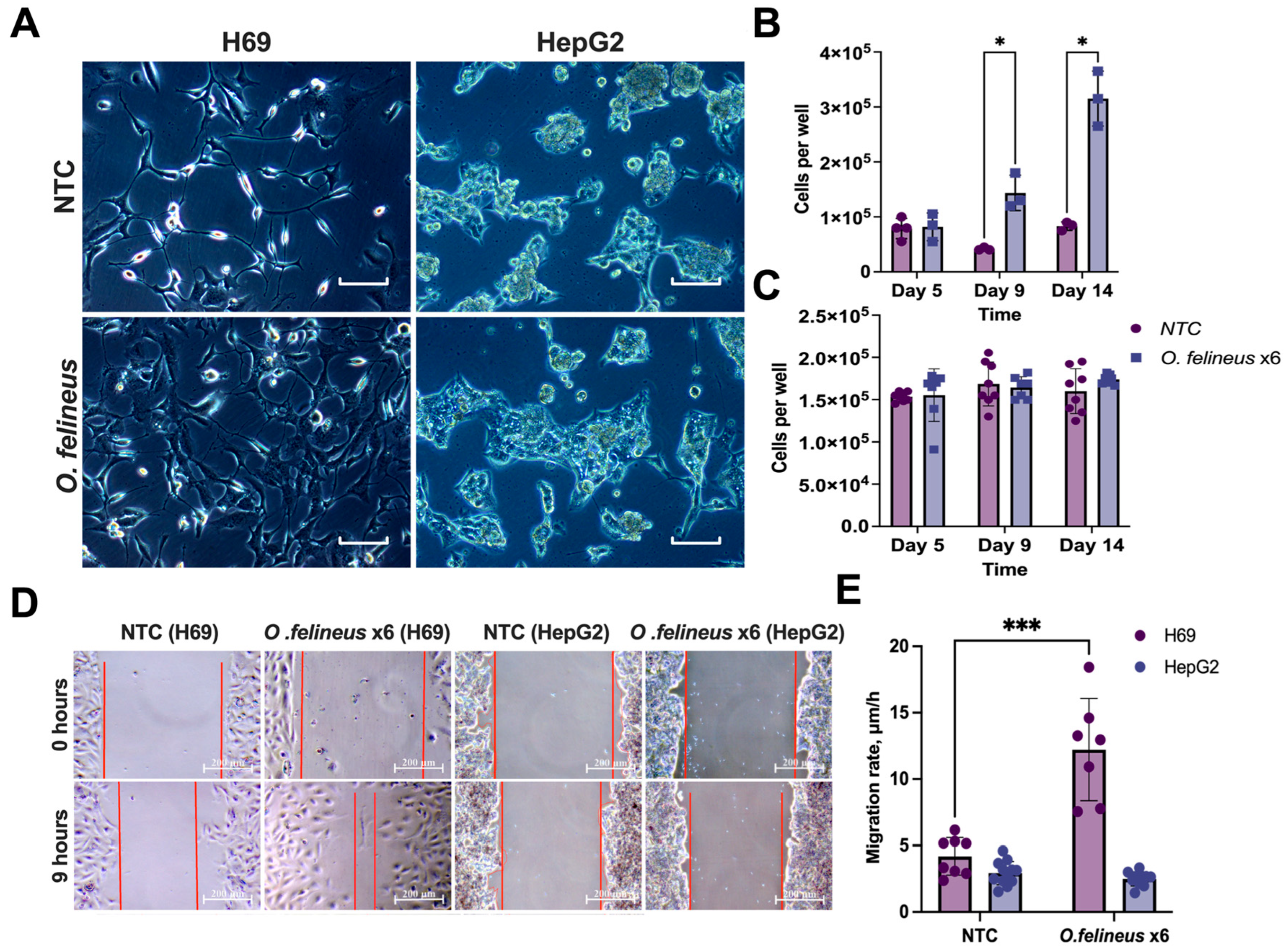Pathogens 14 00620 g003