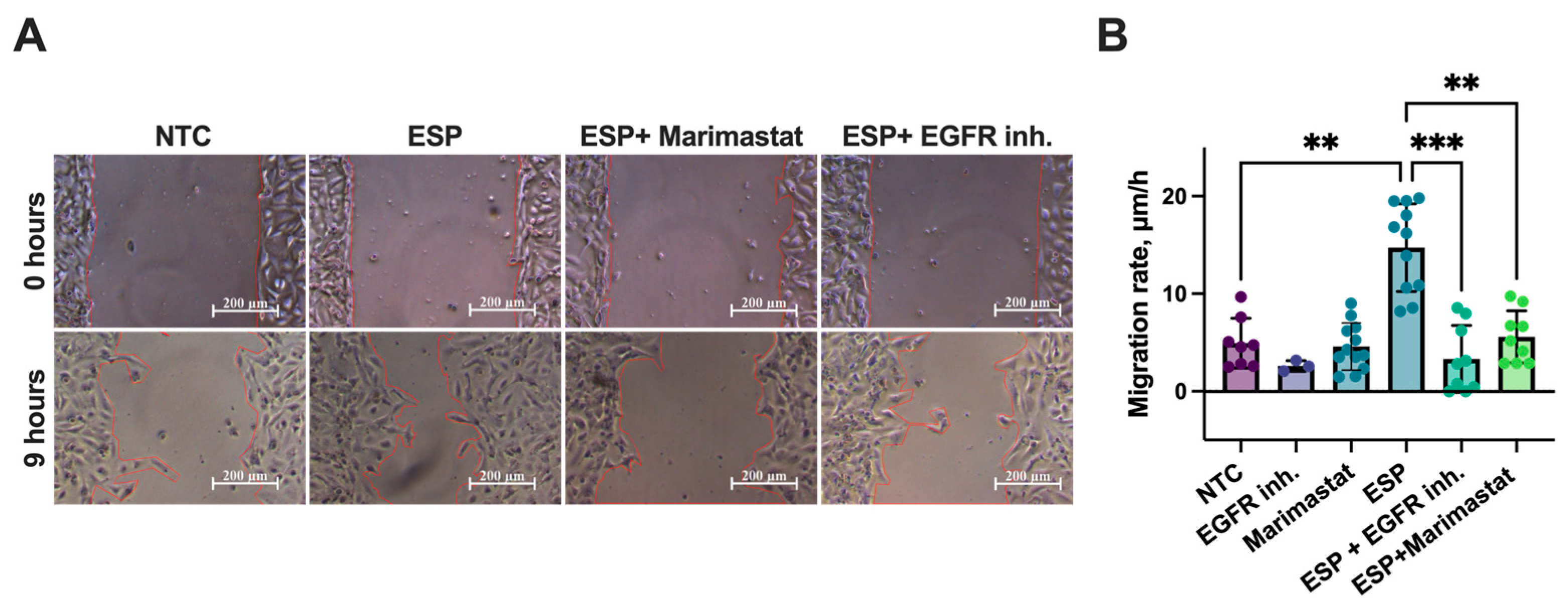 Pathogens 14 00620 g006