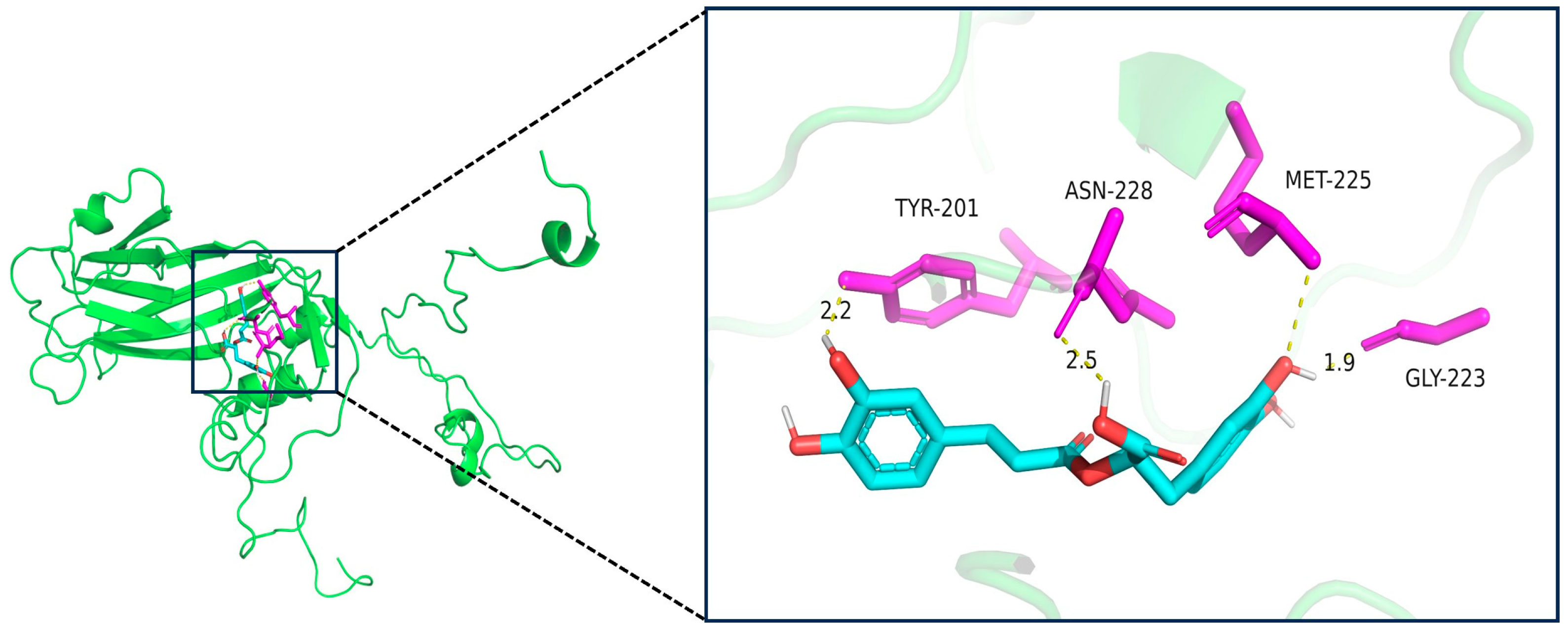 Pathogens 14 00622 g006