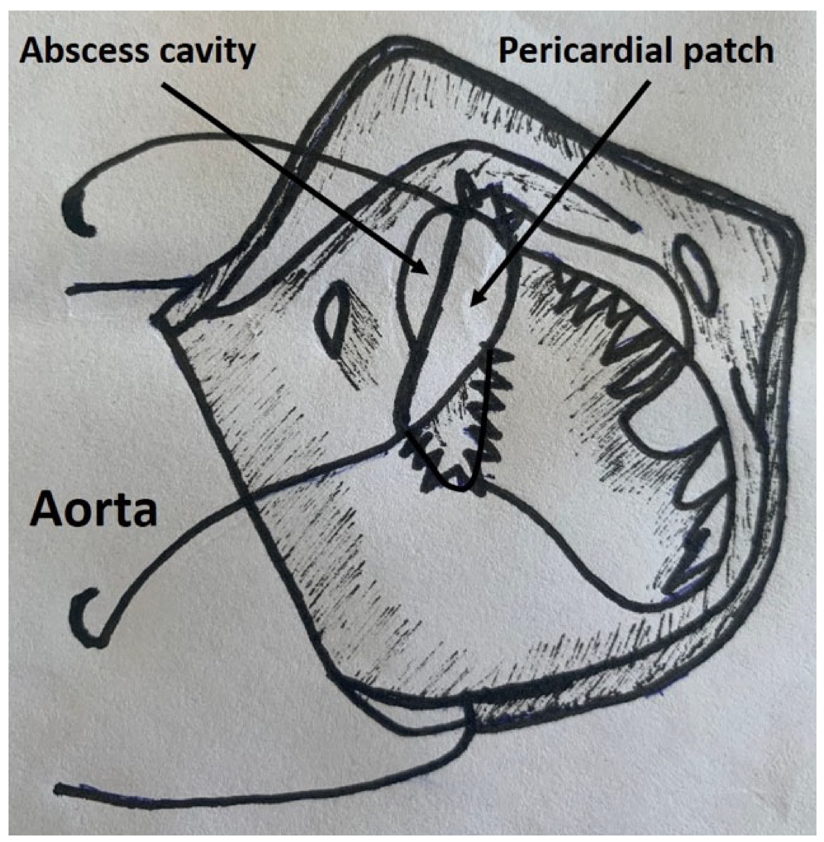 Pathogens 14 00626 g001