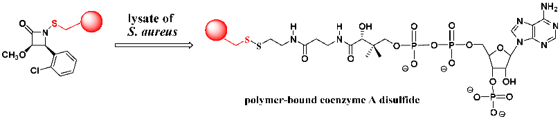 Pathogens 14 00628 i033
