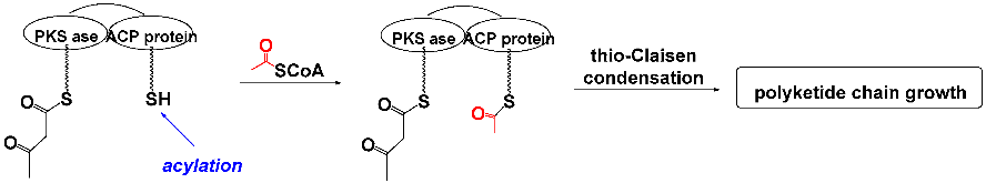 Pathogens 14 00628 i035