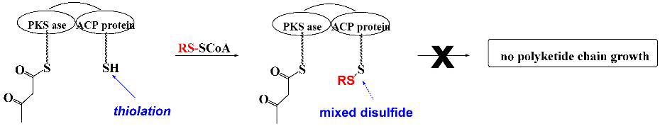 Pathogens 14 00628 i036