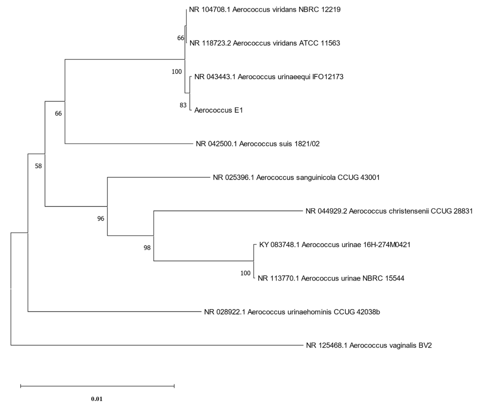 Pathogens 14 00634 g002