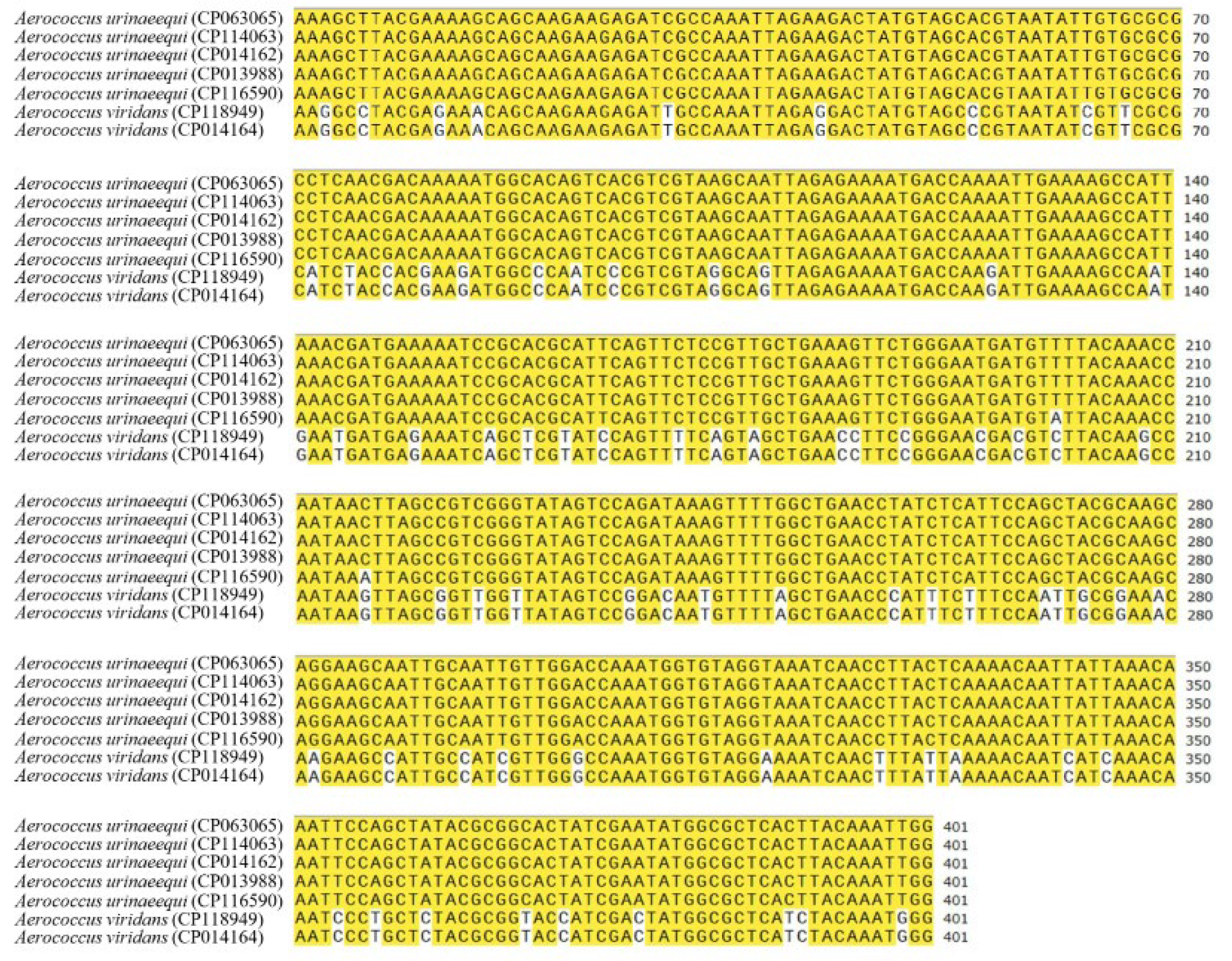 Pathogens 14 00634 g006
