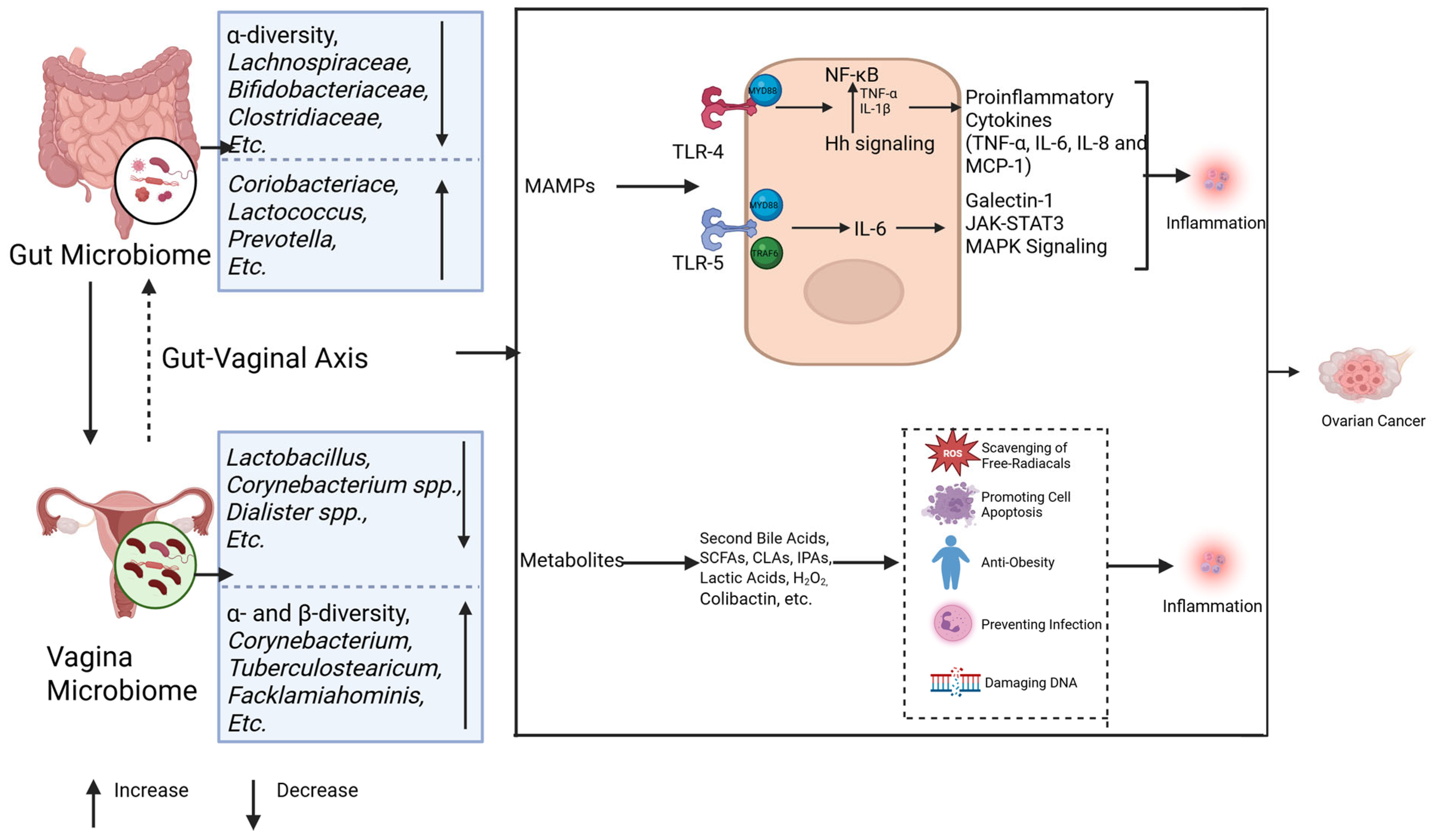 Pathogens 14 00635 g003