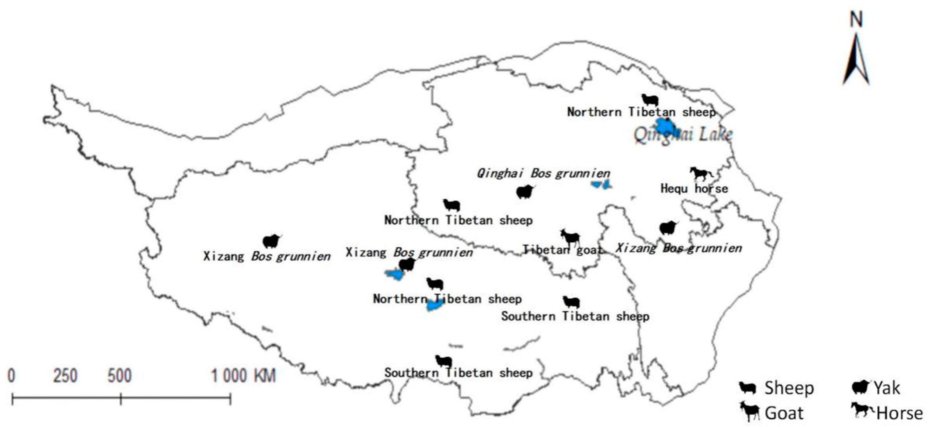 Pathogens 14 00647 g001