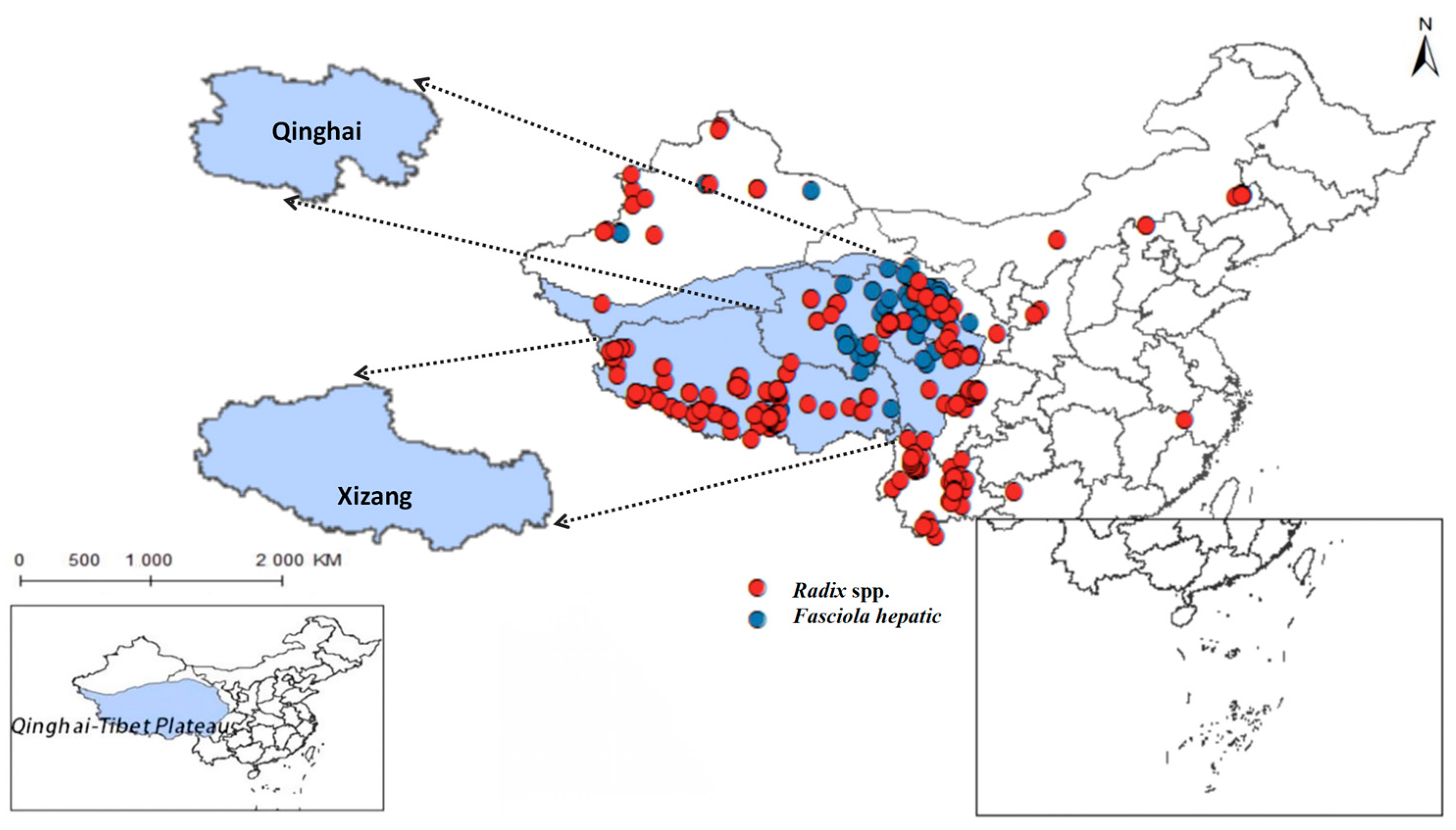 Pathogens 14 00647 g002