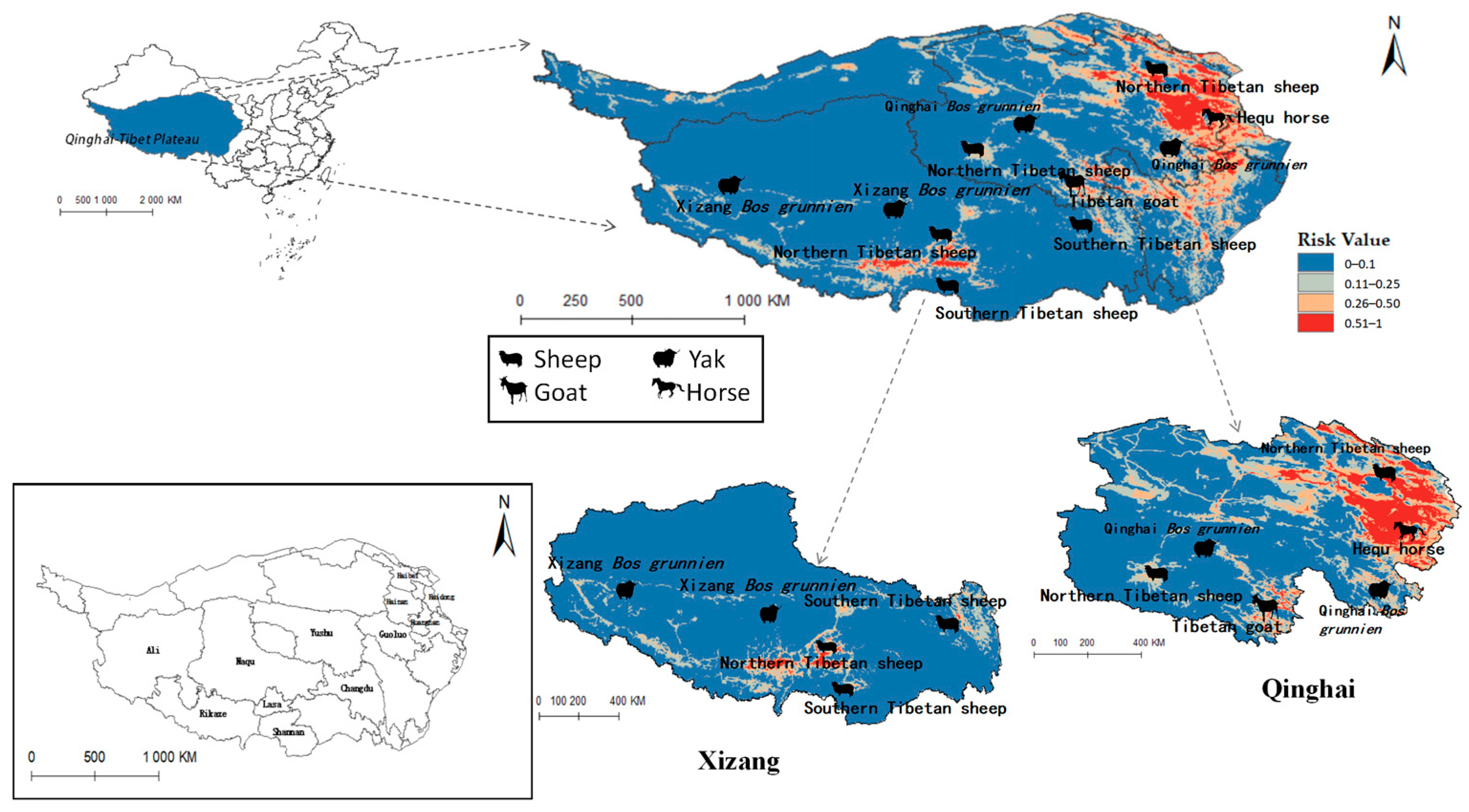 Pathogens 14 00647 g011