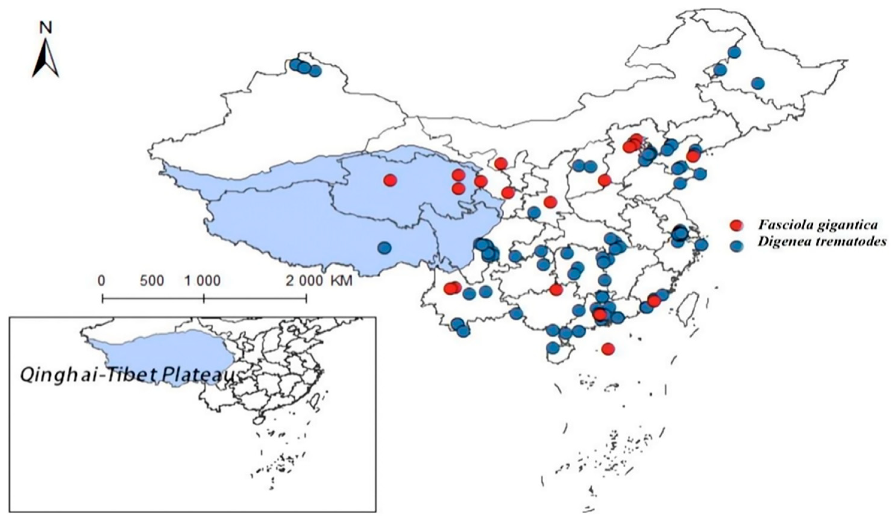 Pathogens 14 00647 g012