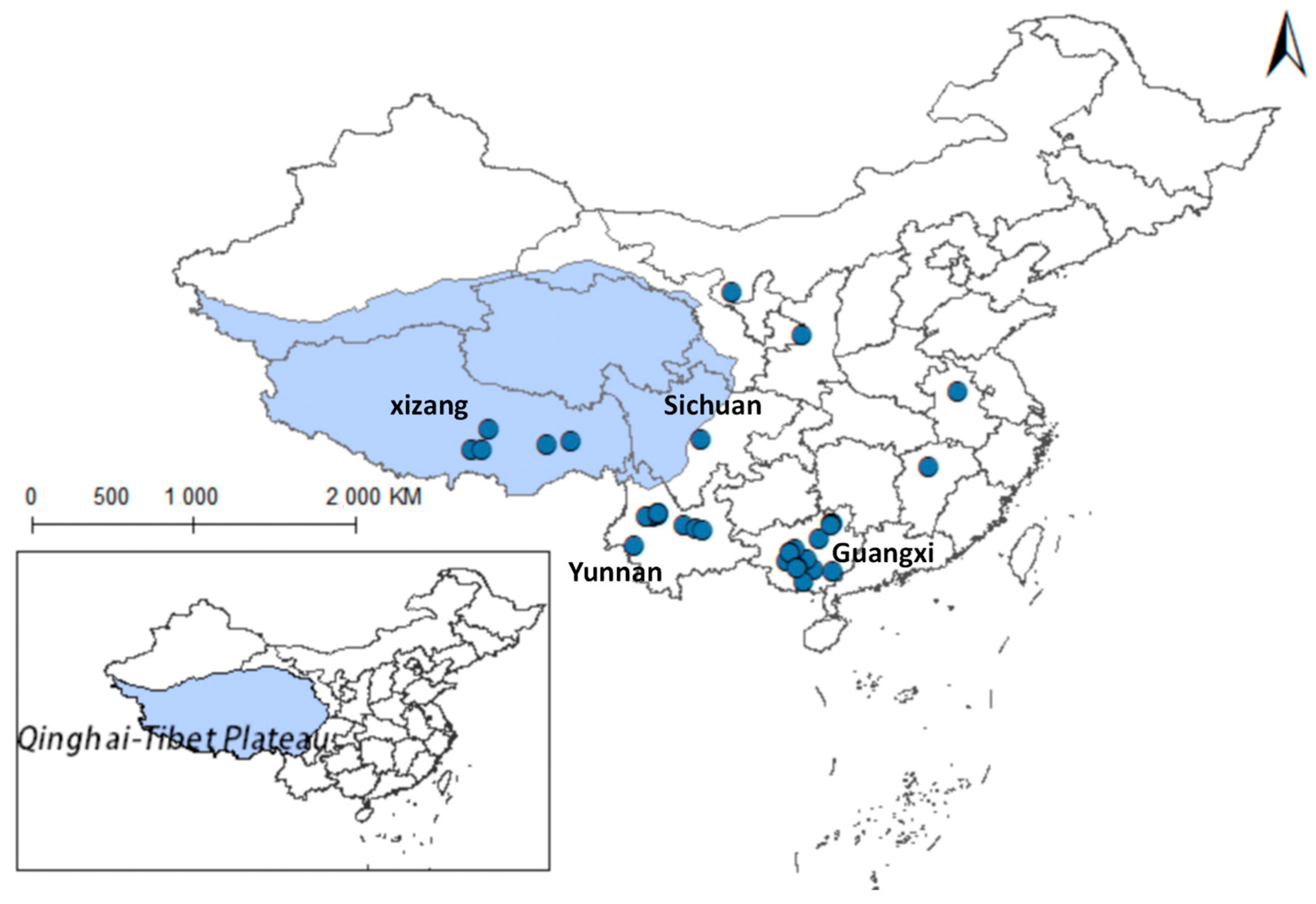 Pathogens 14 00647 g013