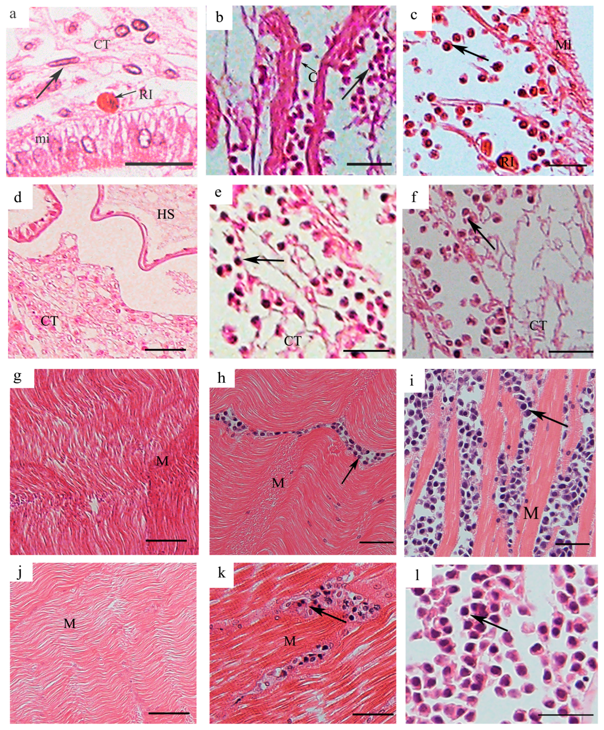 Pathogens 14 00650 g002 Pathogens 14 00650 g002