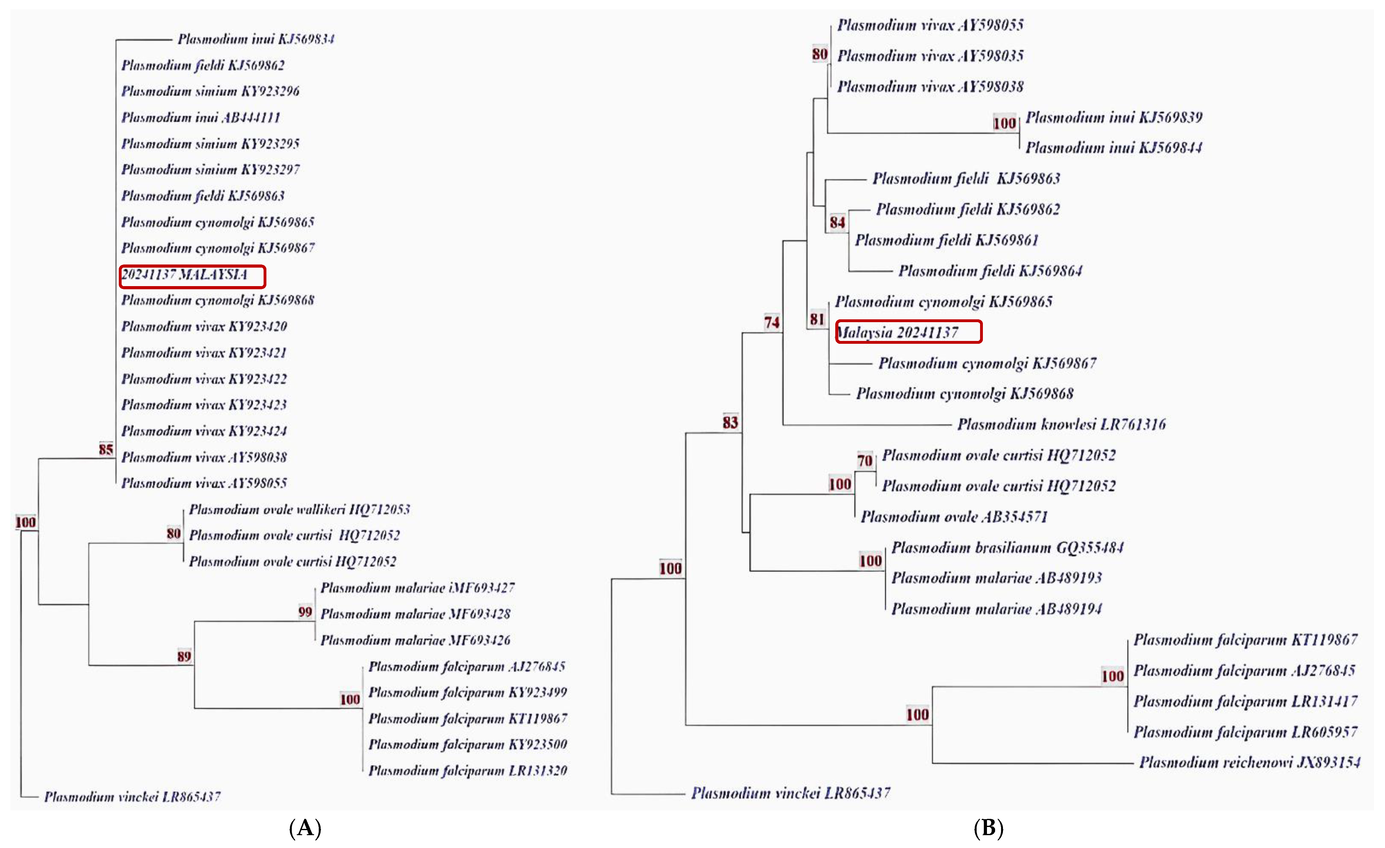Pathogens 14 00651 g002