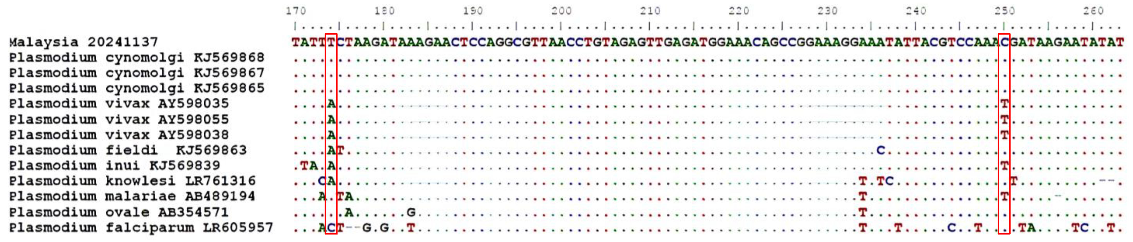 Pathogens 14 00651 g003