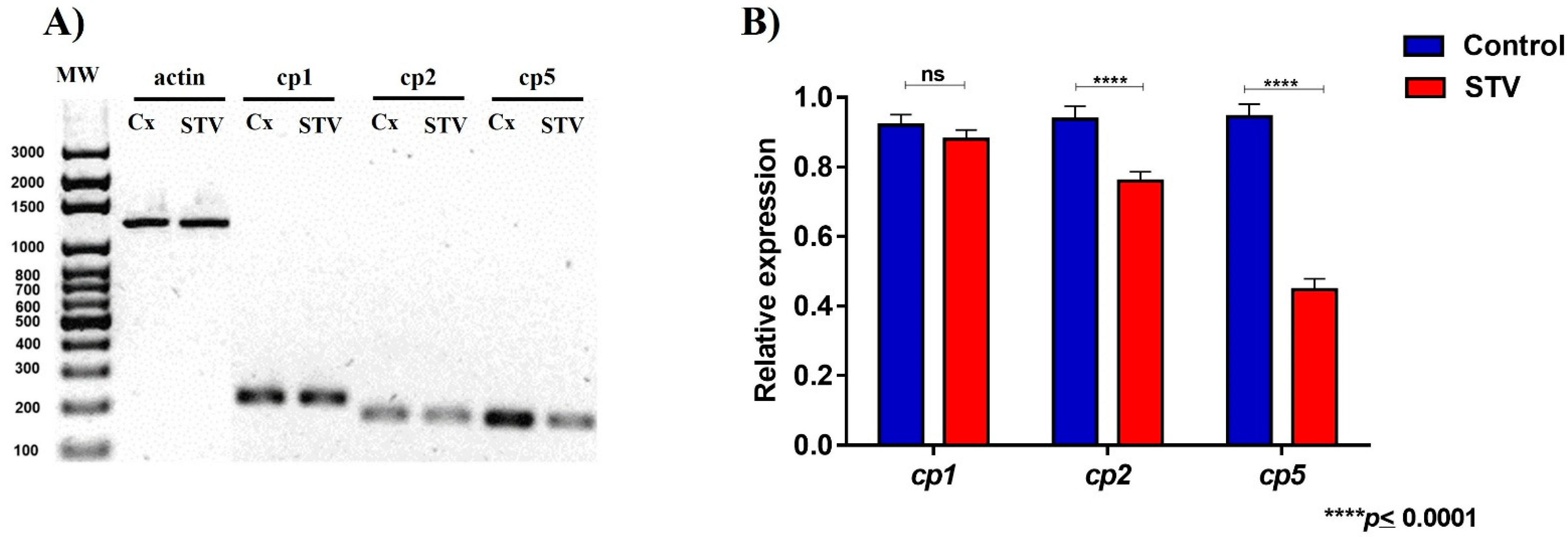 Pathogens 14 00653 g006