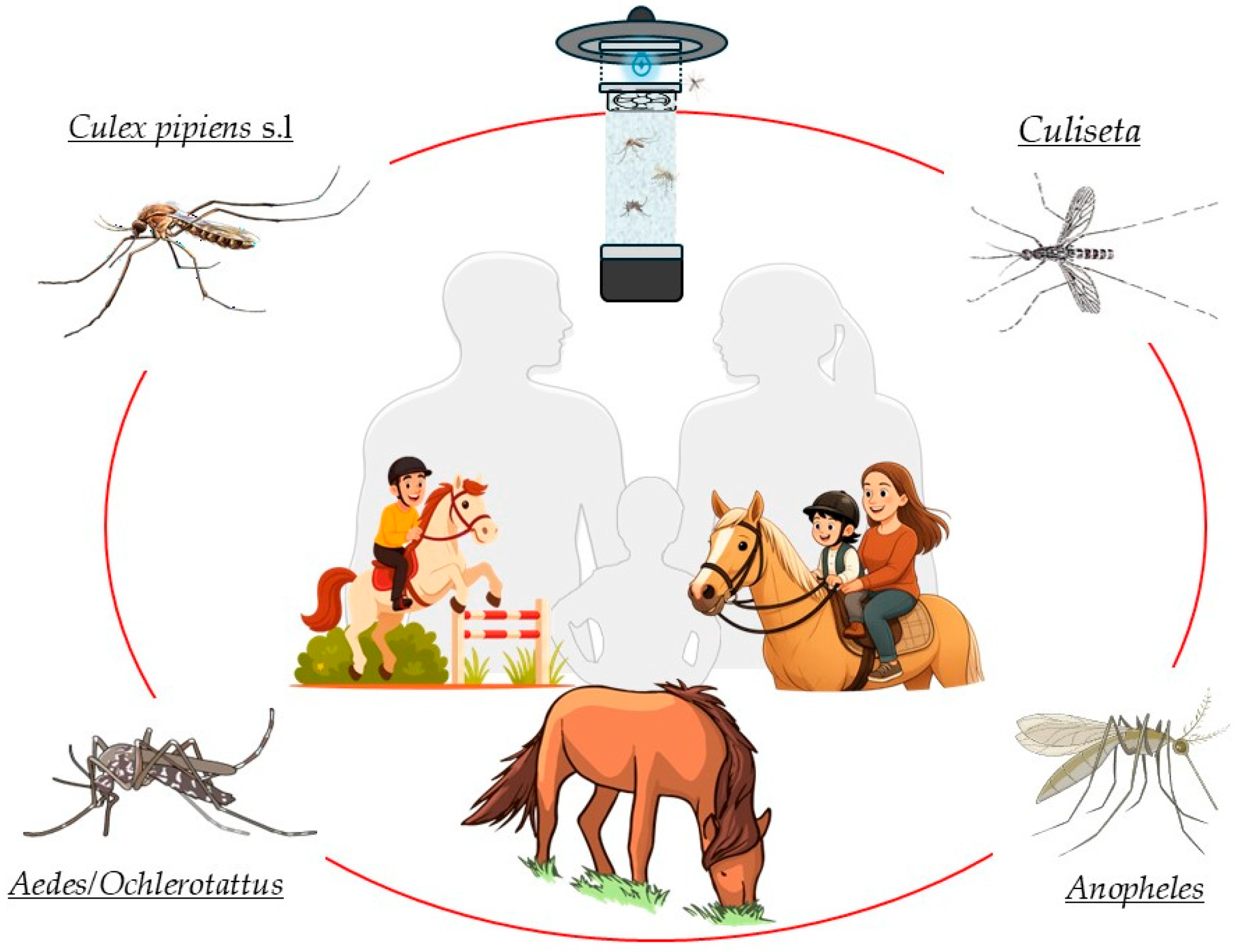 Pathogens 14 00661 g001 Pathogens 14 00661 g001
