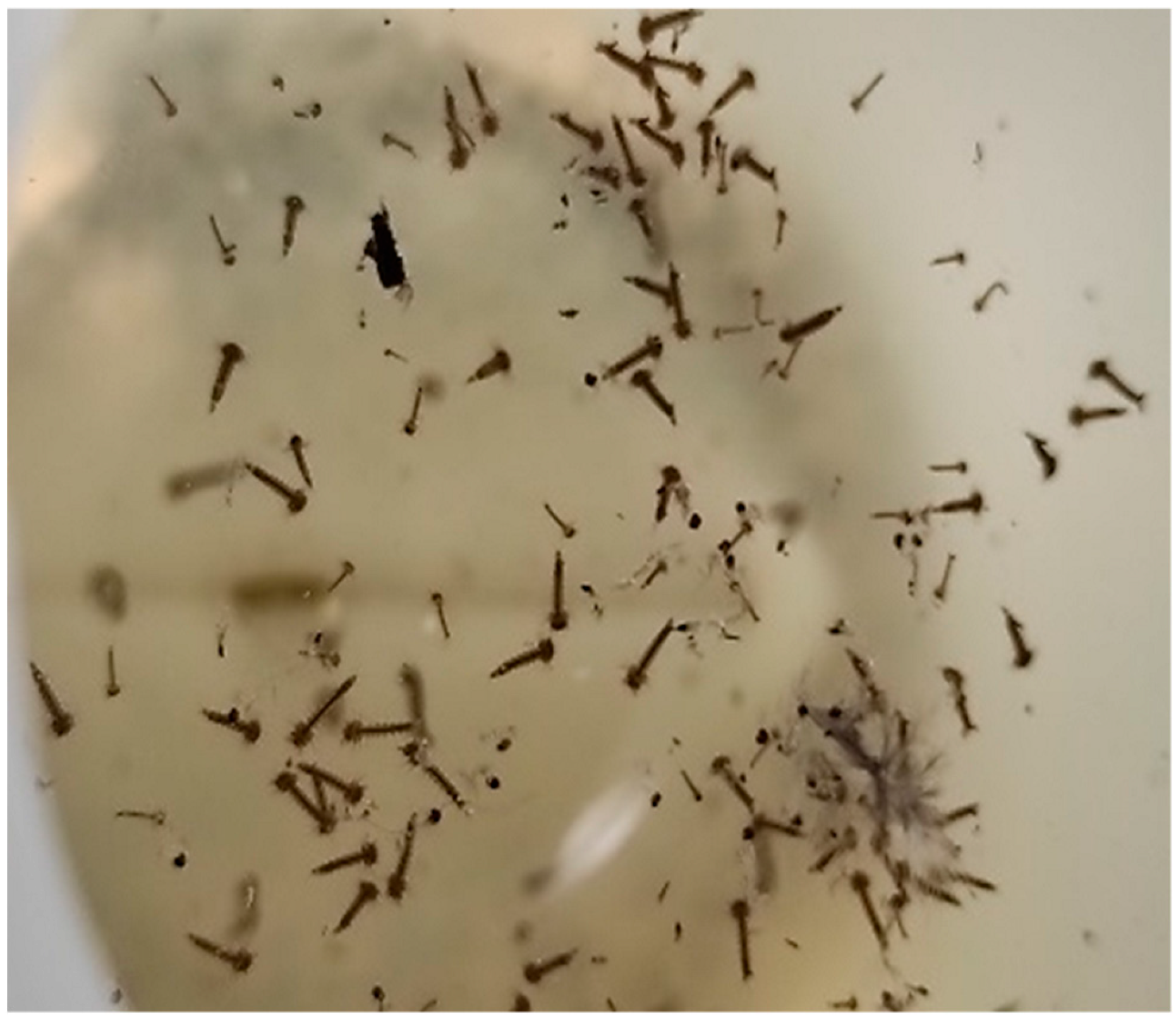 Pathogens 14 00661 g004 Pathogens 14 00661 g004