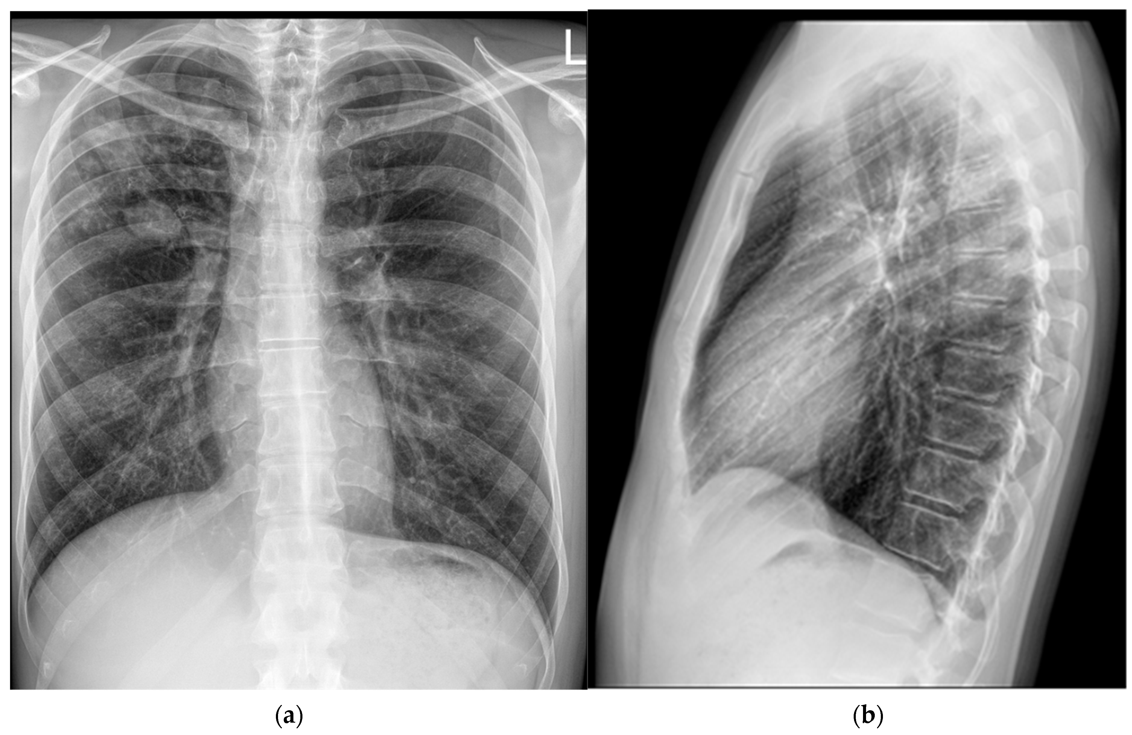 Pathogens 14 00684 g003