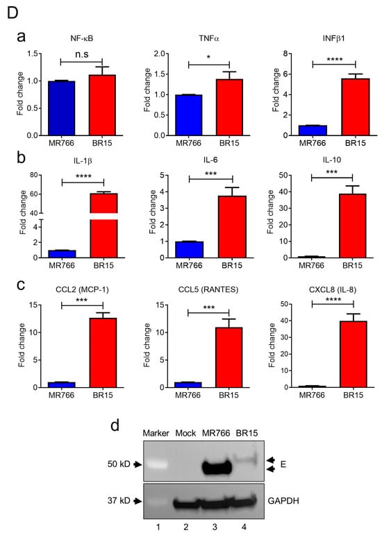 Pathogens 14 00716 g001b