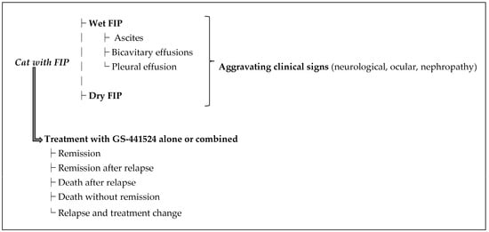 Pathogens 14 00717 g001