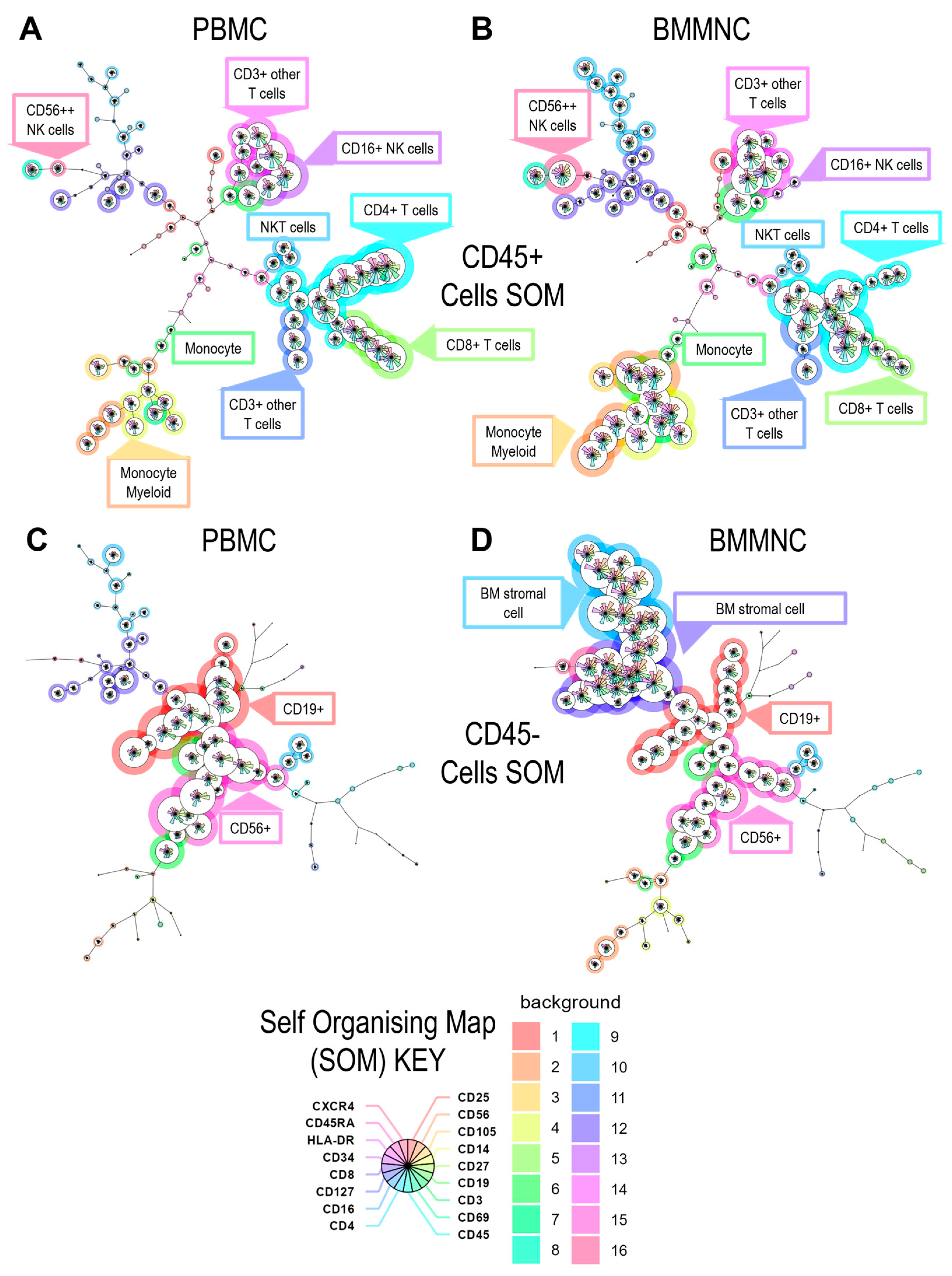 Pathogens 14 00722 g001