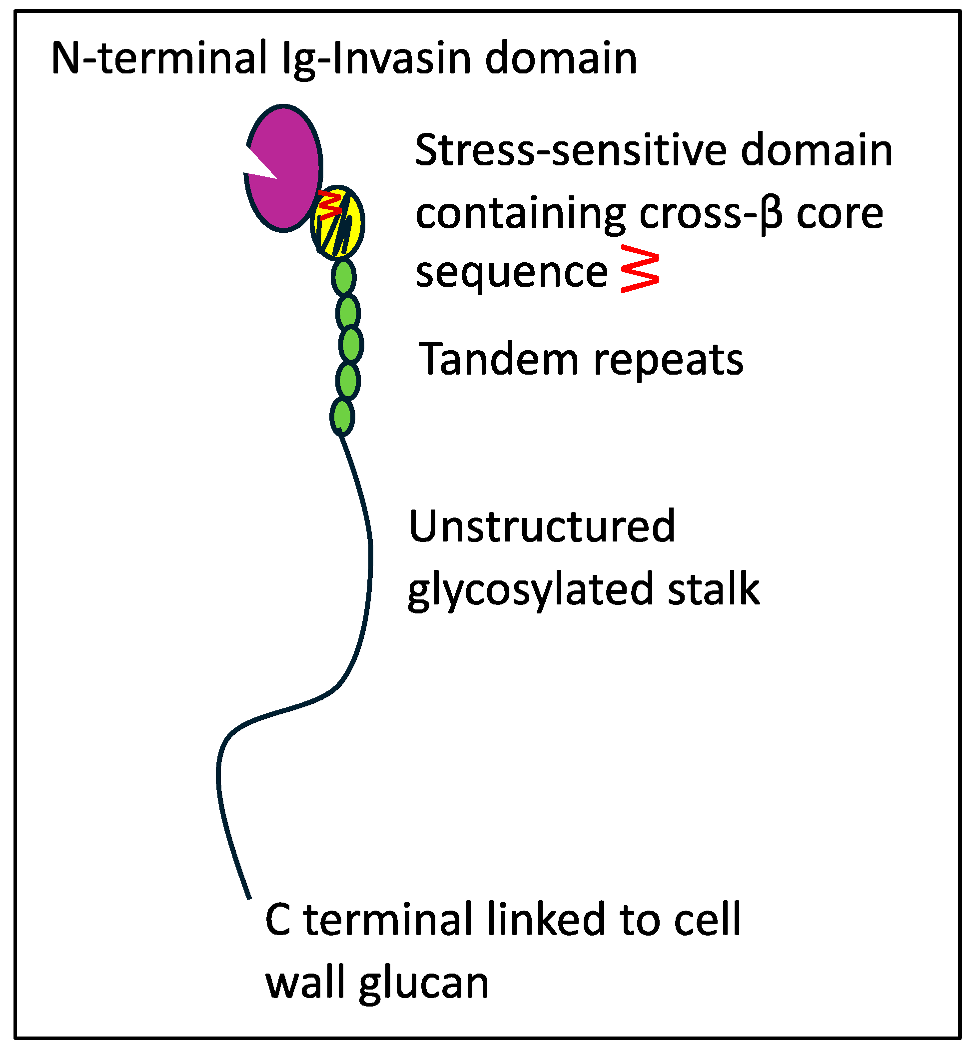 Pathogens 14 00723 g001