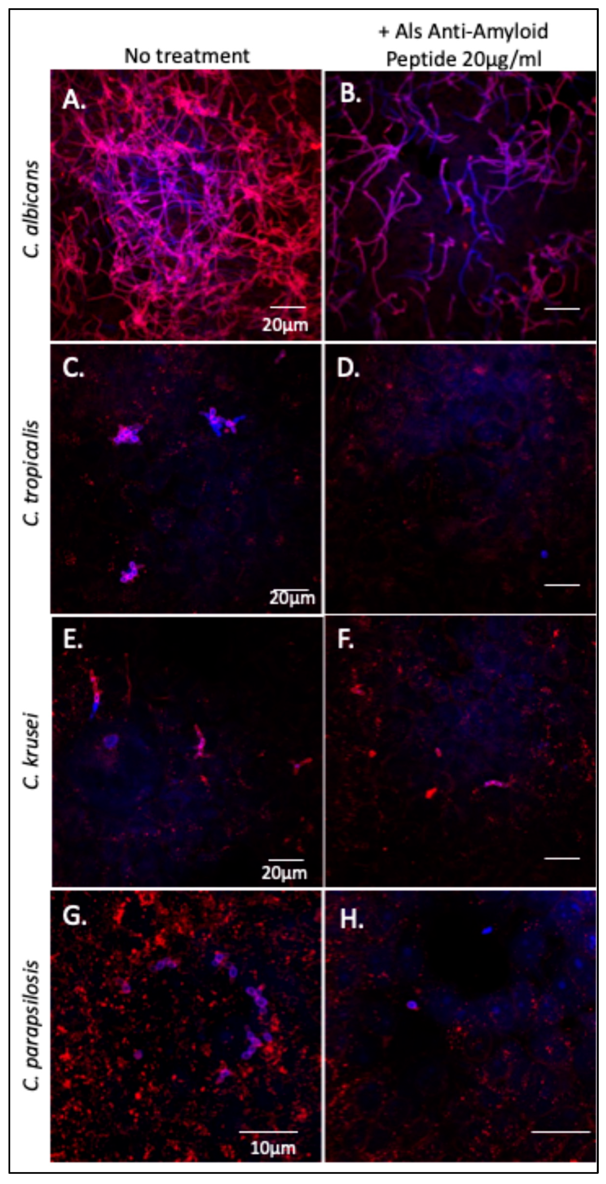 Pathogens 14 00723 g005