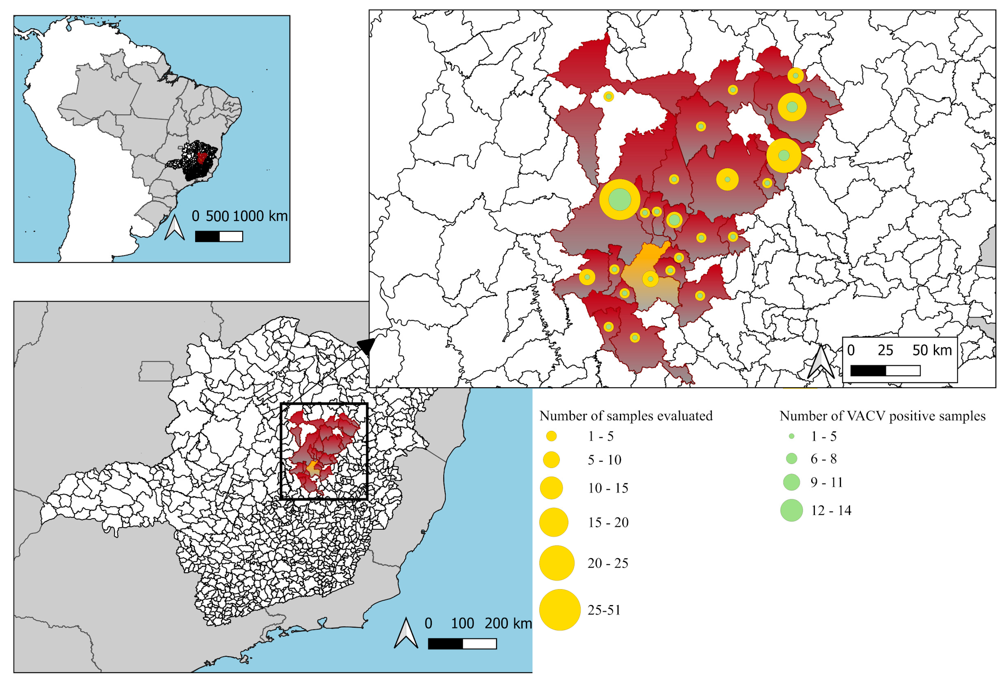 Pathogens 14 00733 g001