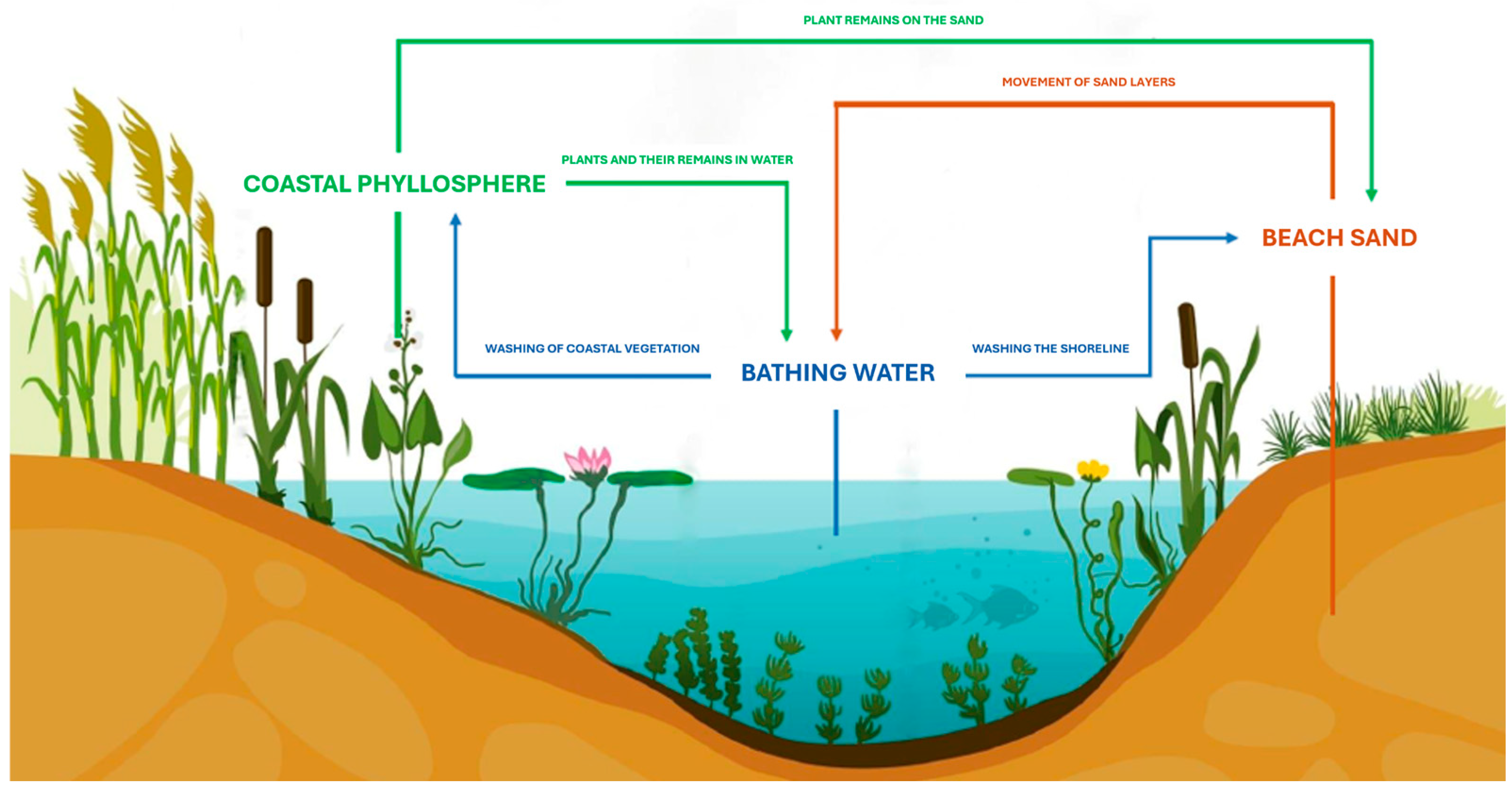 Pathogens 14 00744 g001