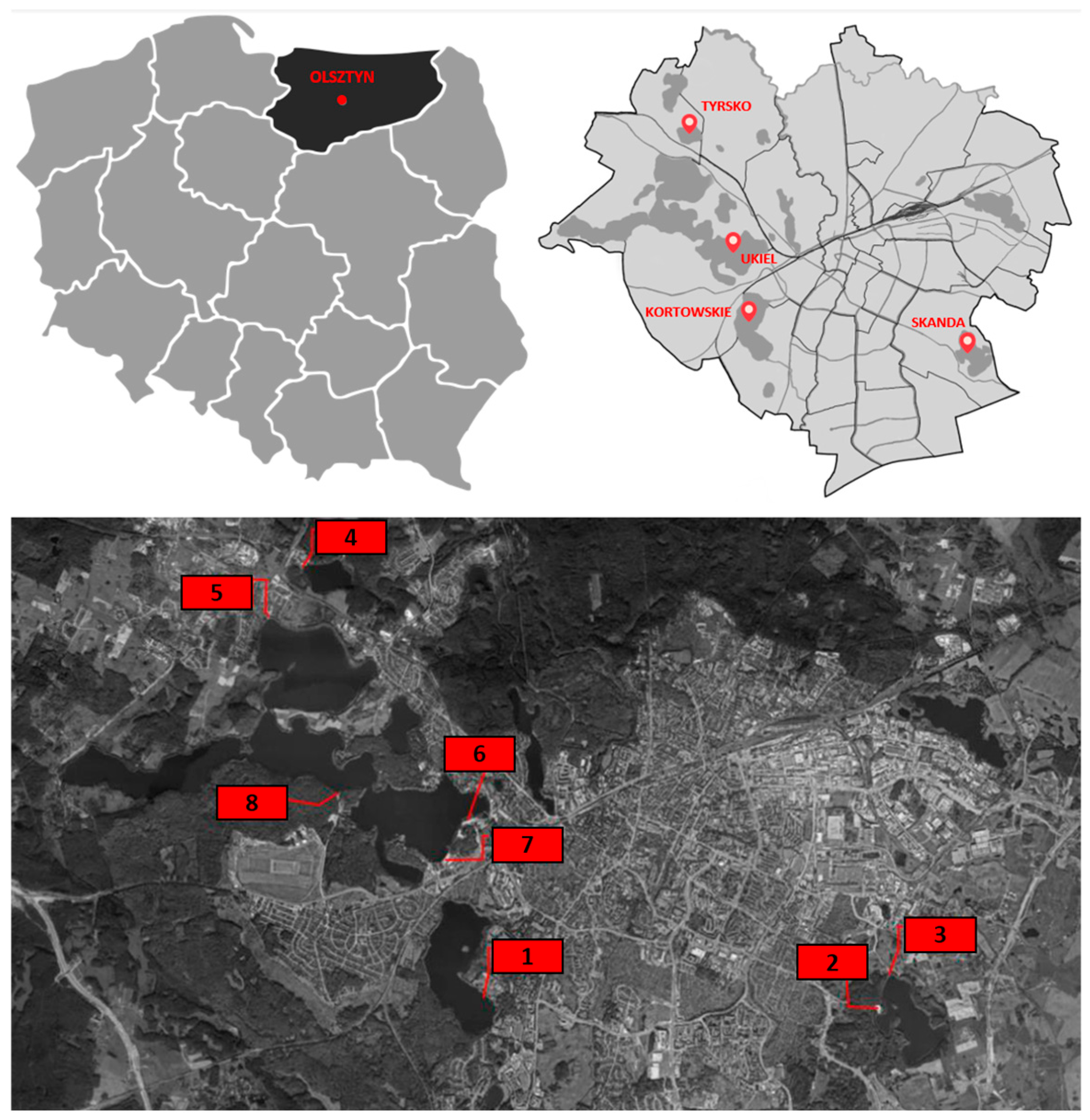 Pathogens 14 00744 g002