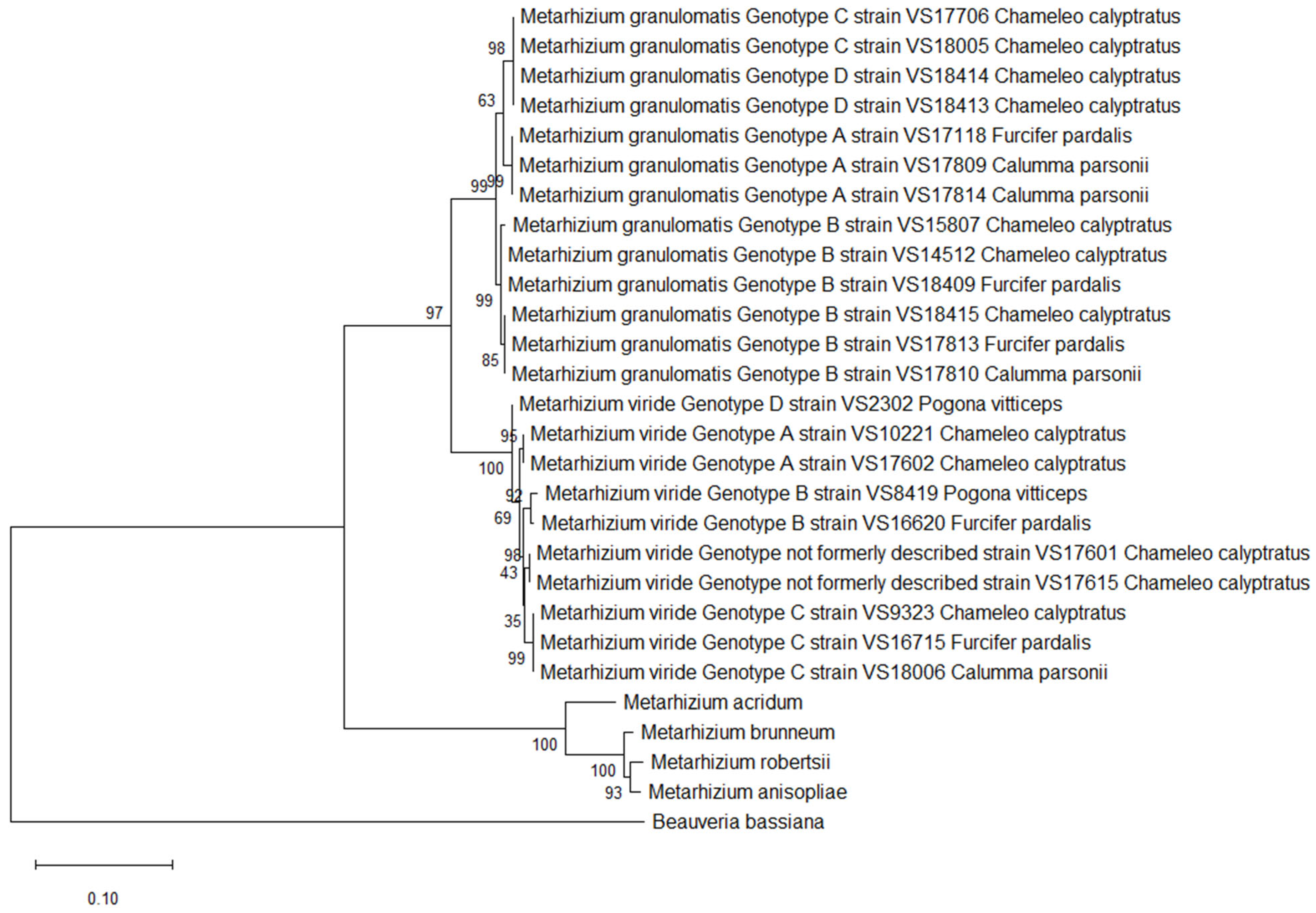 Pathogens 14 00745 g001