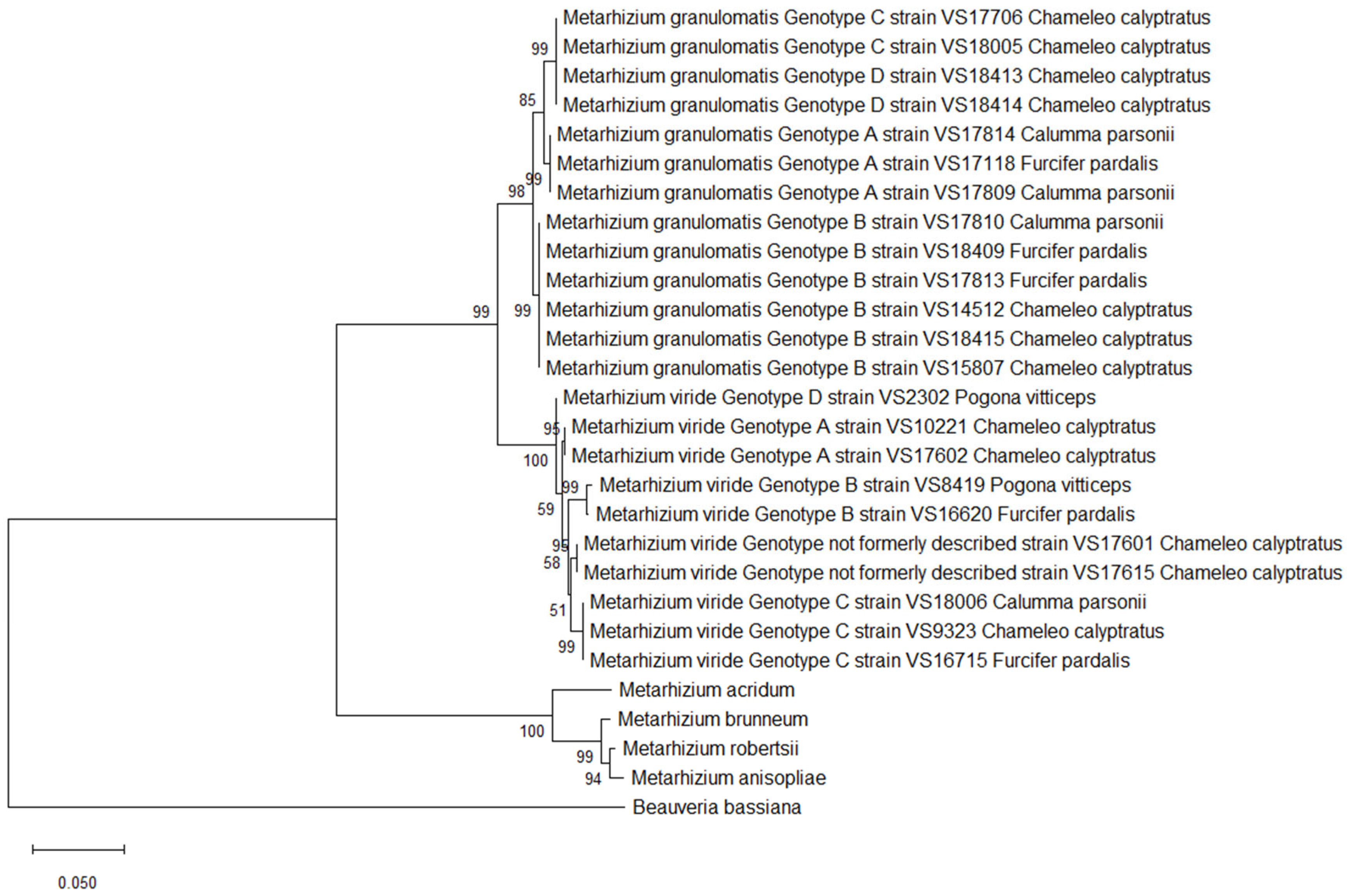 Pathogens 14 00745 g002