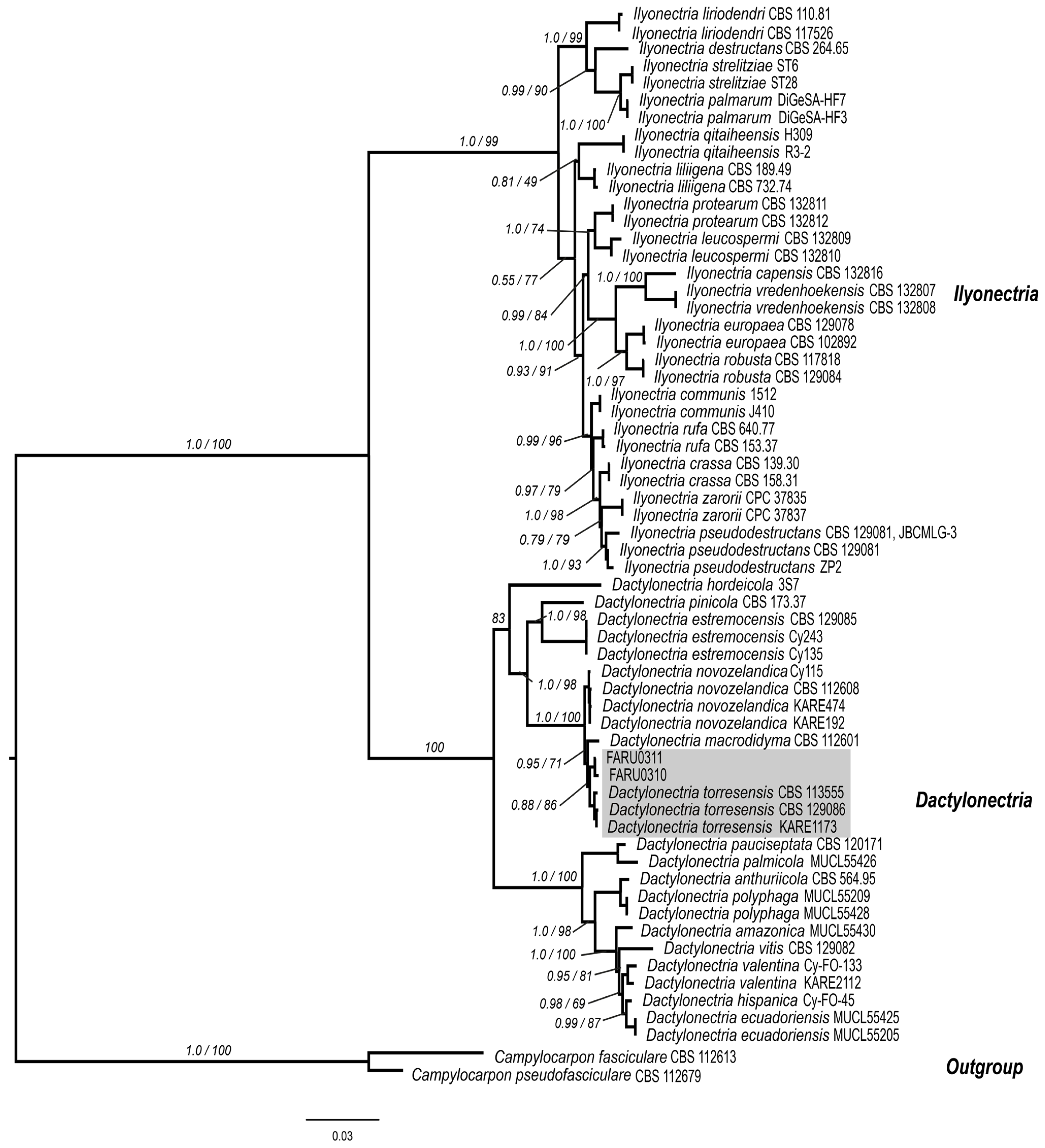 Pathogens 14 00746 g002
