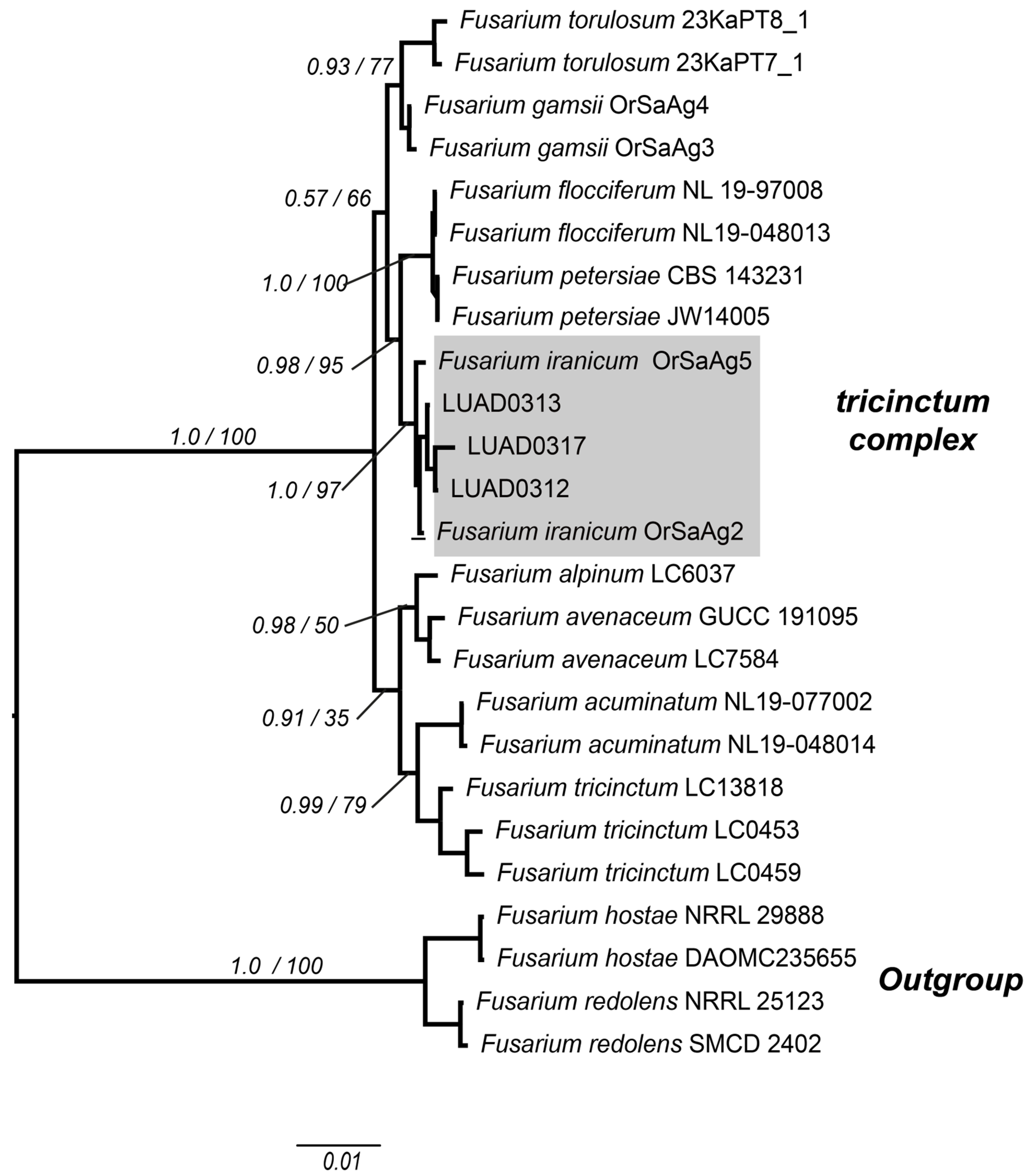 Pathogens 14 00746 g003