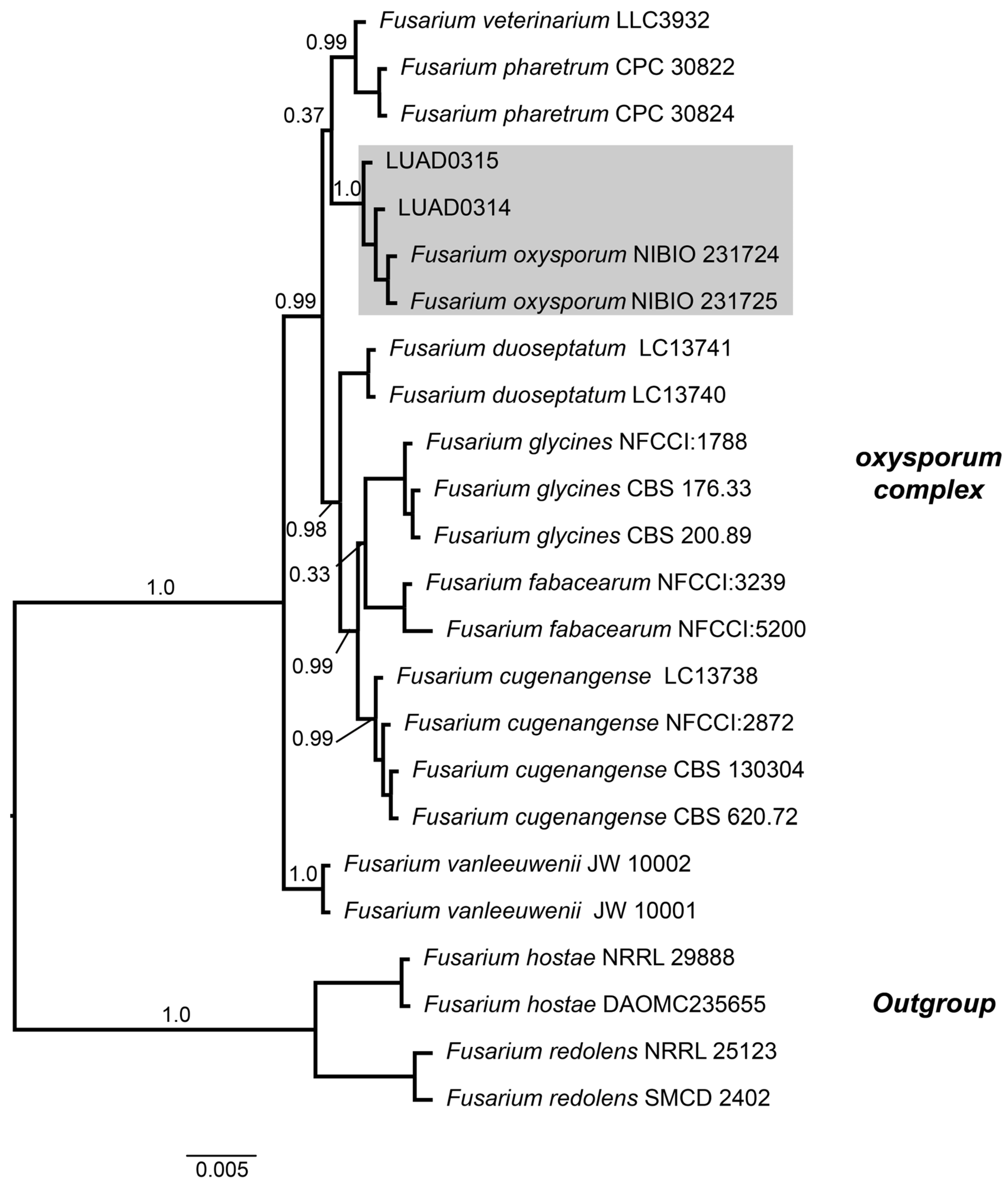 Pathogens 14 00746 g005