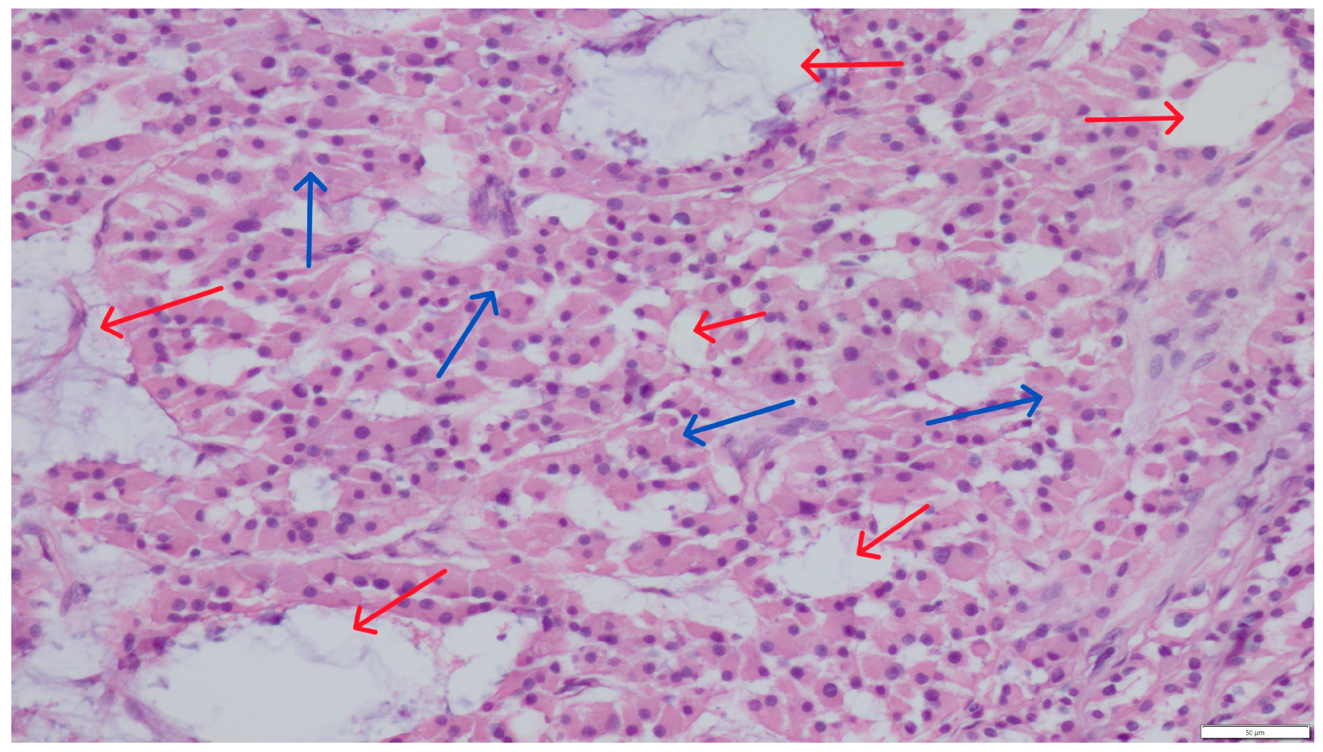 Pathogens 14 00752 g001 Pathogens 14 00752 g001