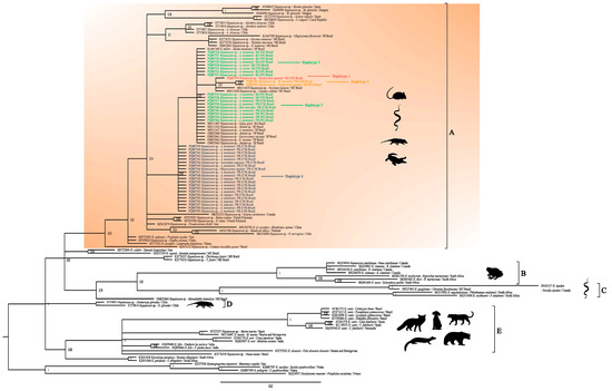 Pathogens 14 00756 g002
