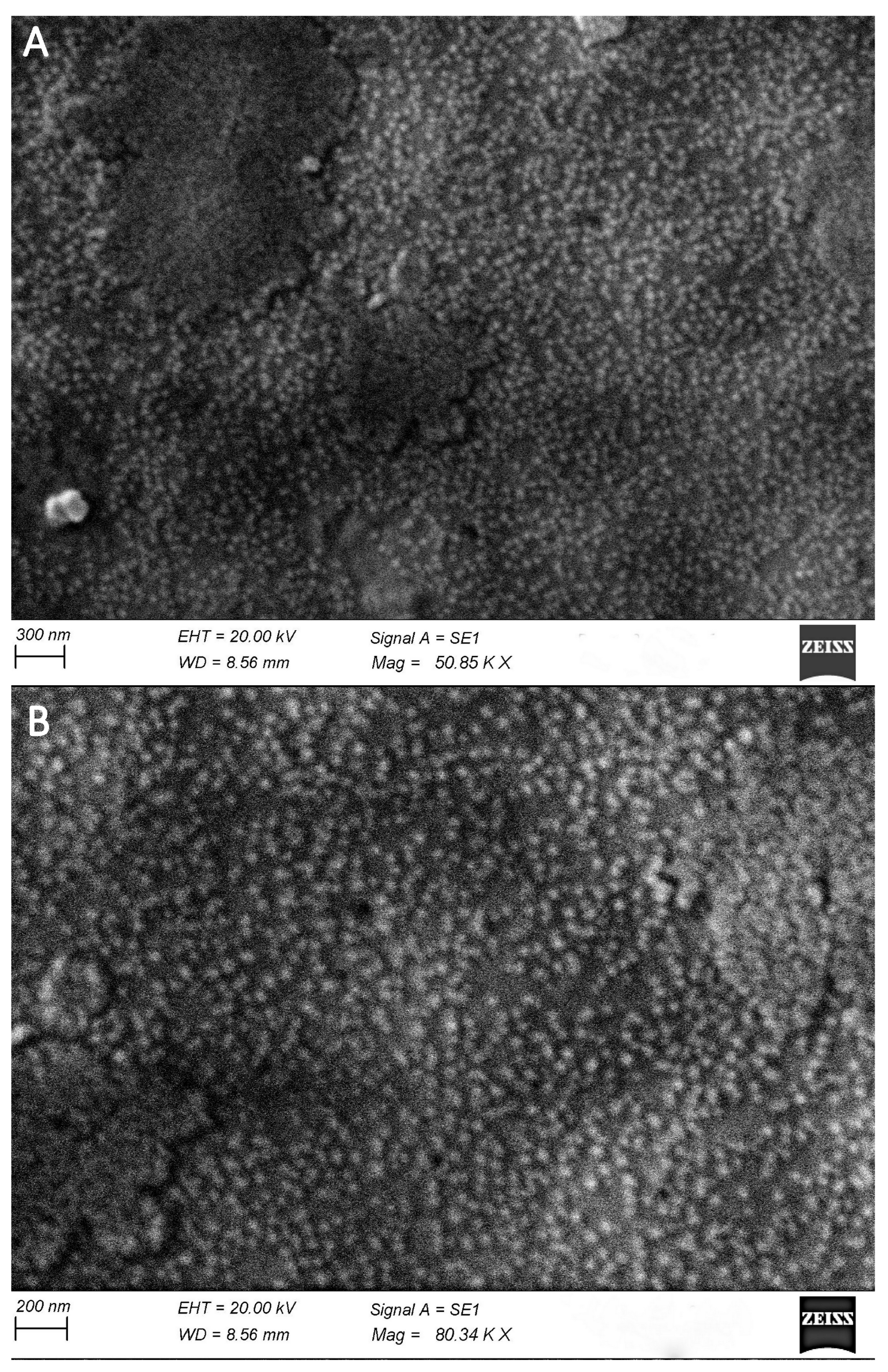 Pathogens 14 00764 g004 Pathogens 14 00764 g004