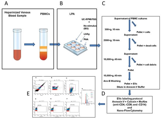 Pathogens 14 00771 g001