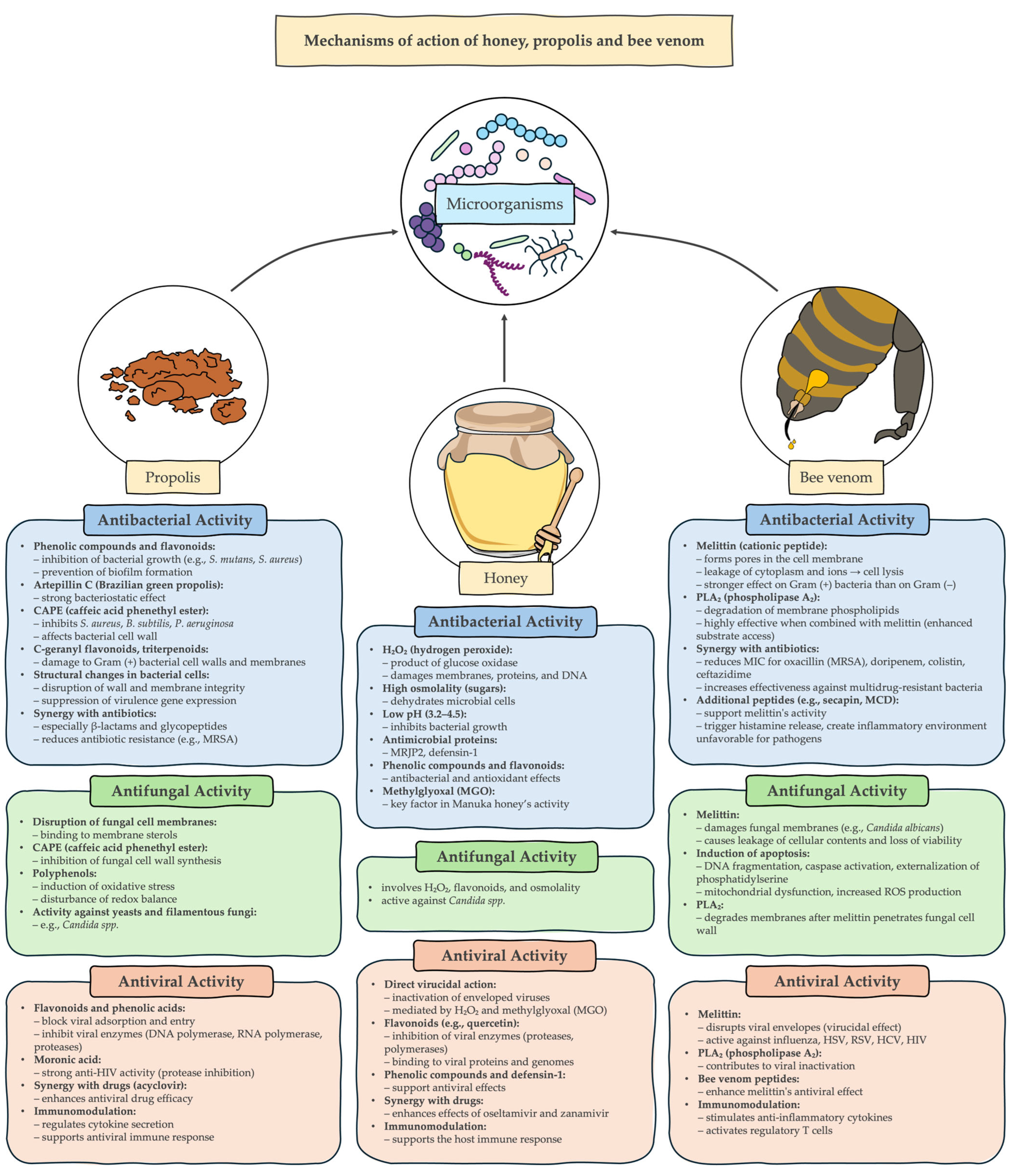 Pathogens 14 00780 g001 Pathogens 14 00780 g001