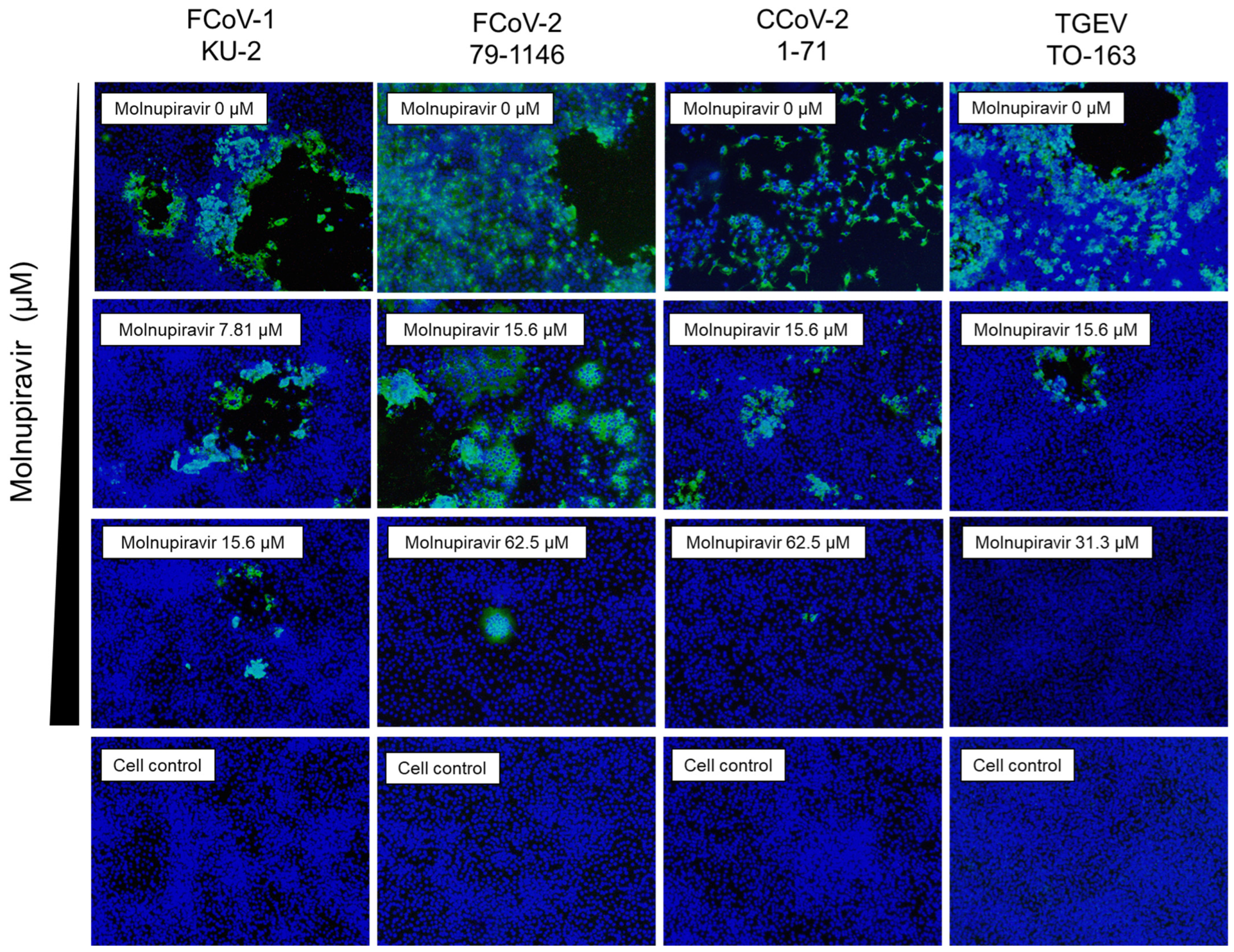 Pathogens 14 00787 g004 Pathogens 14 00787 g004