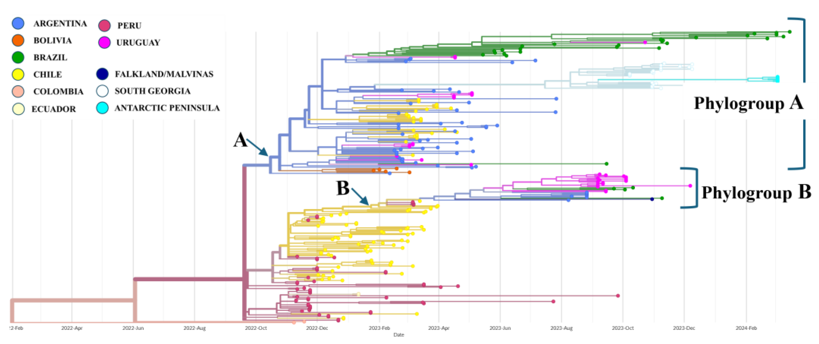 Pathogens 14 00793 g001