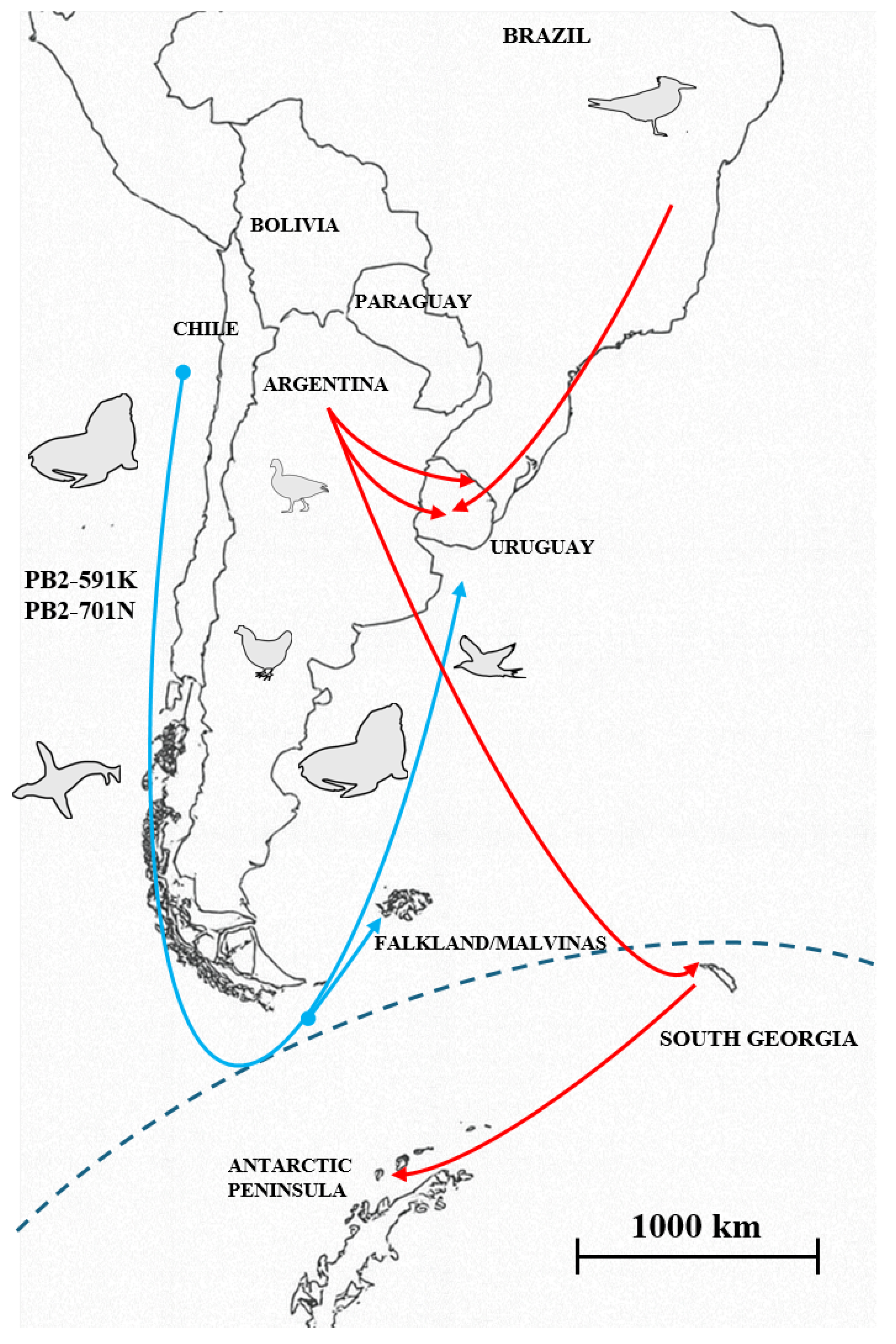 Pathogens 14 00793 g004