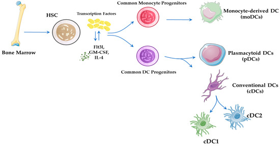 Pathogens 14 00794 g001